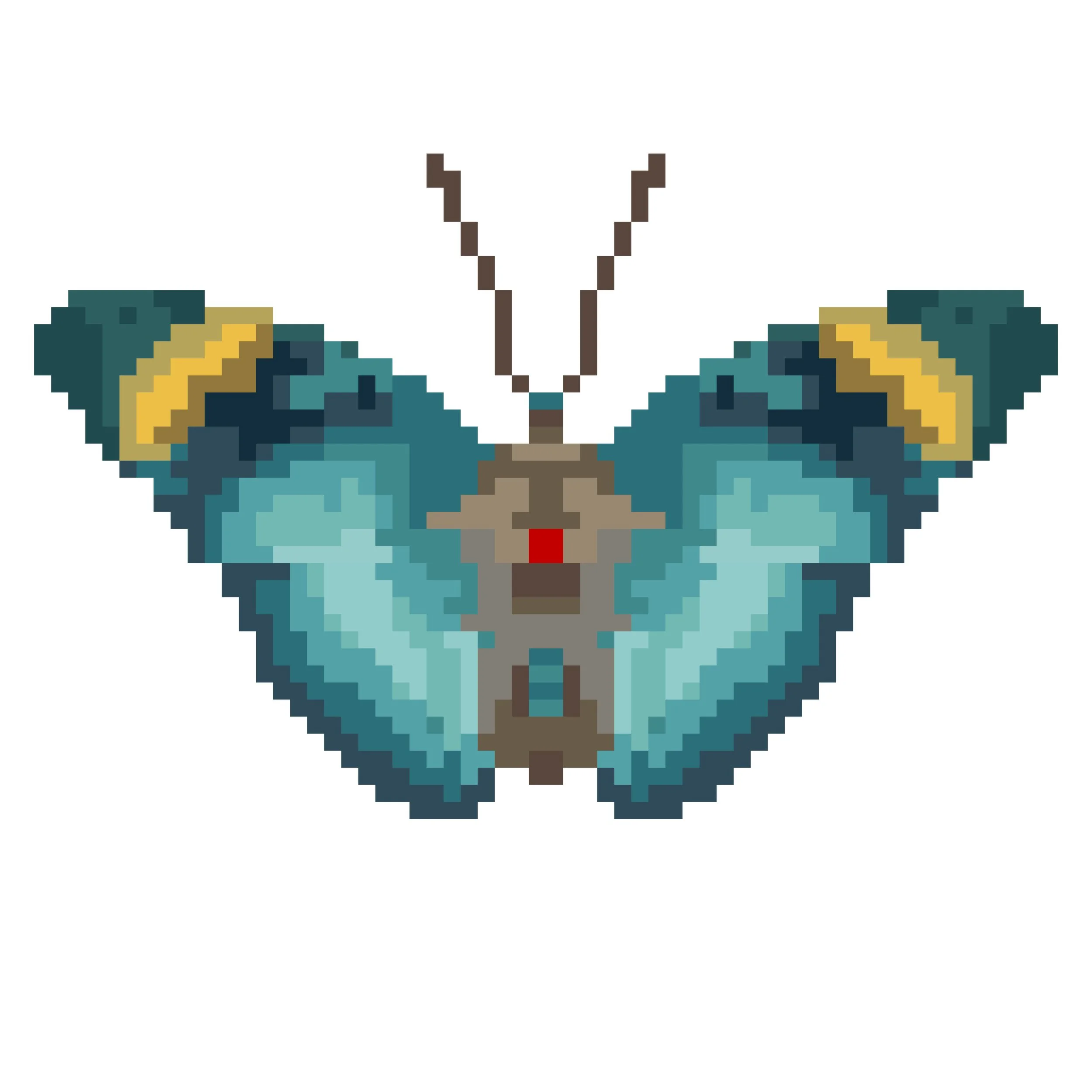 Wingpin#0109-Euphaedra medon.jpg