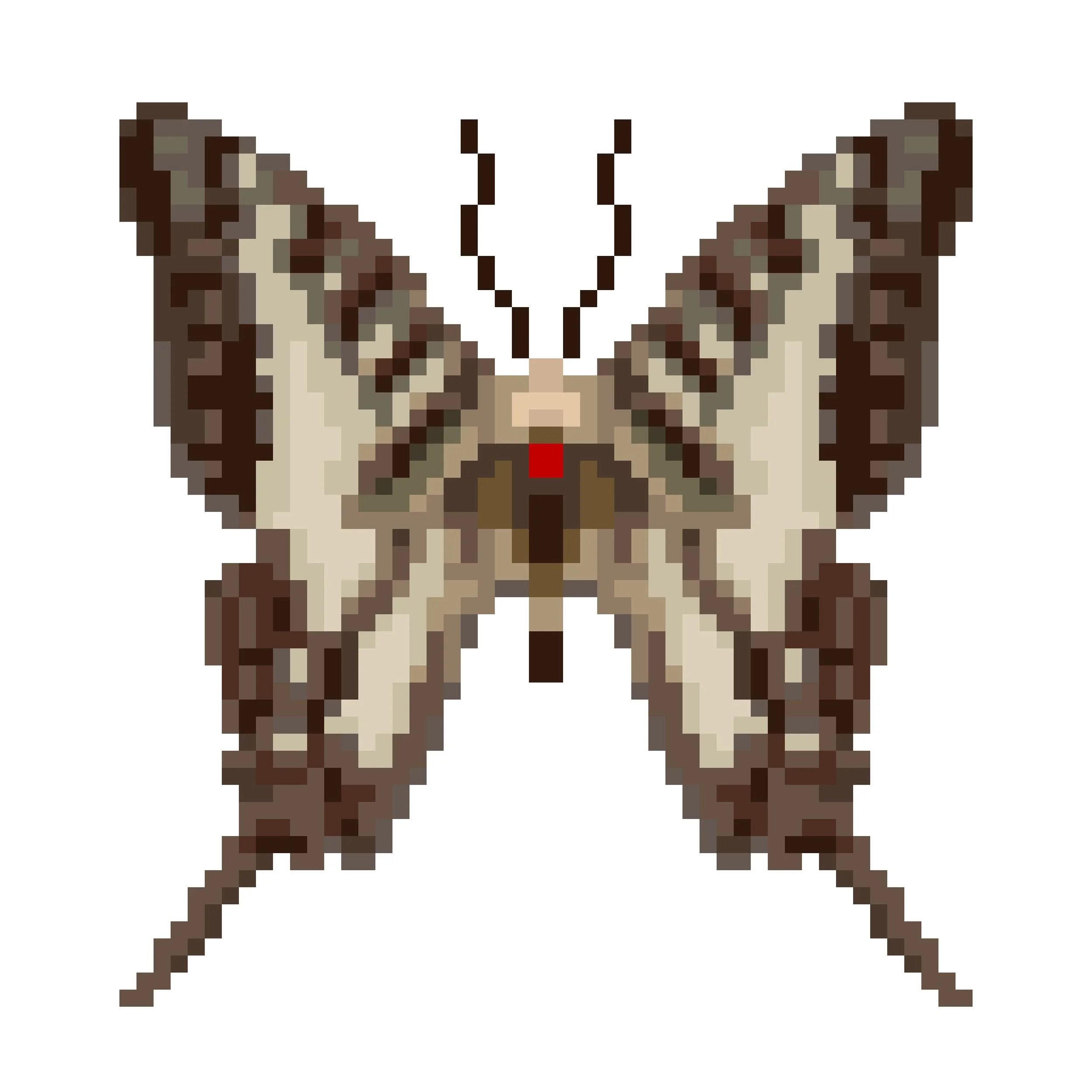 Wingpin#0328-Graphium junodi.jpg
