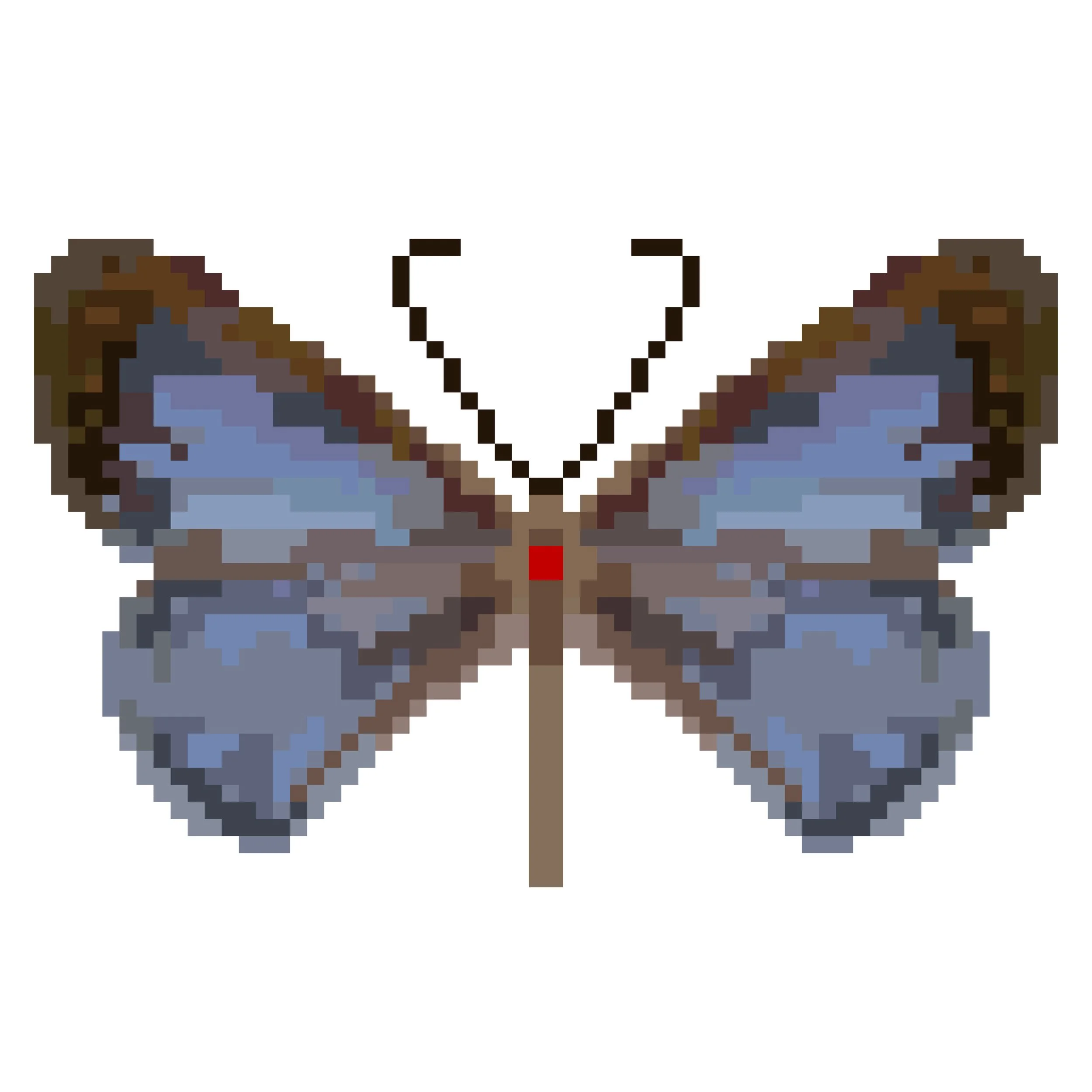 Wingpin#0615-Acrodipsas illidgei.jpg