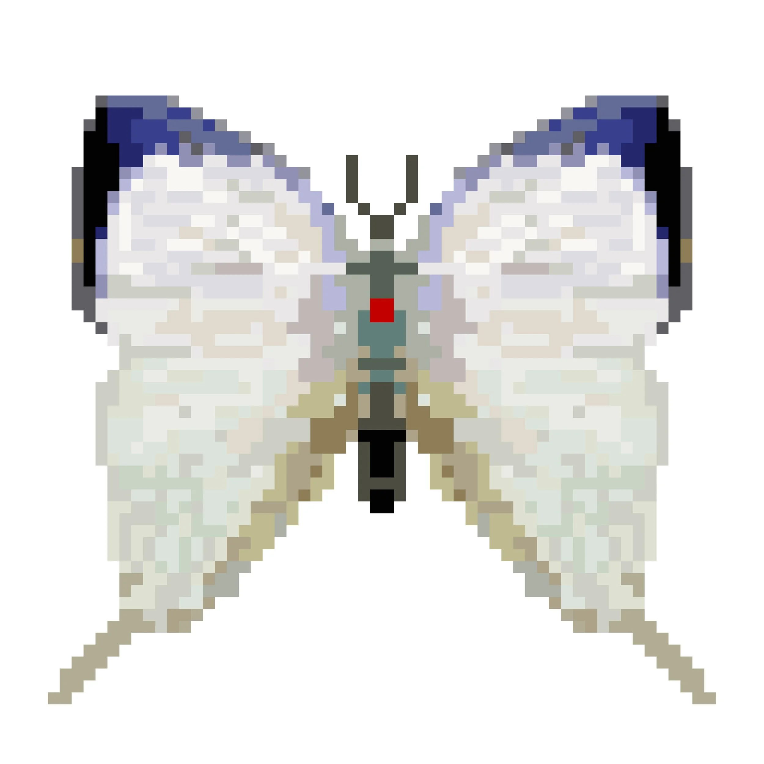 Wingpin#0458-Neomyrina nivea.jpg