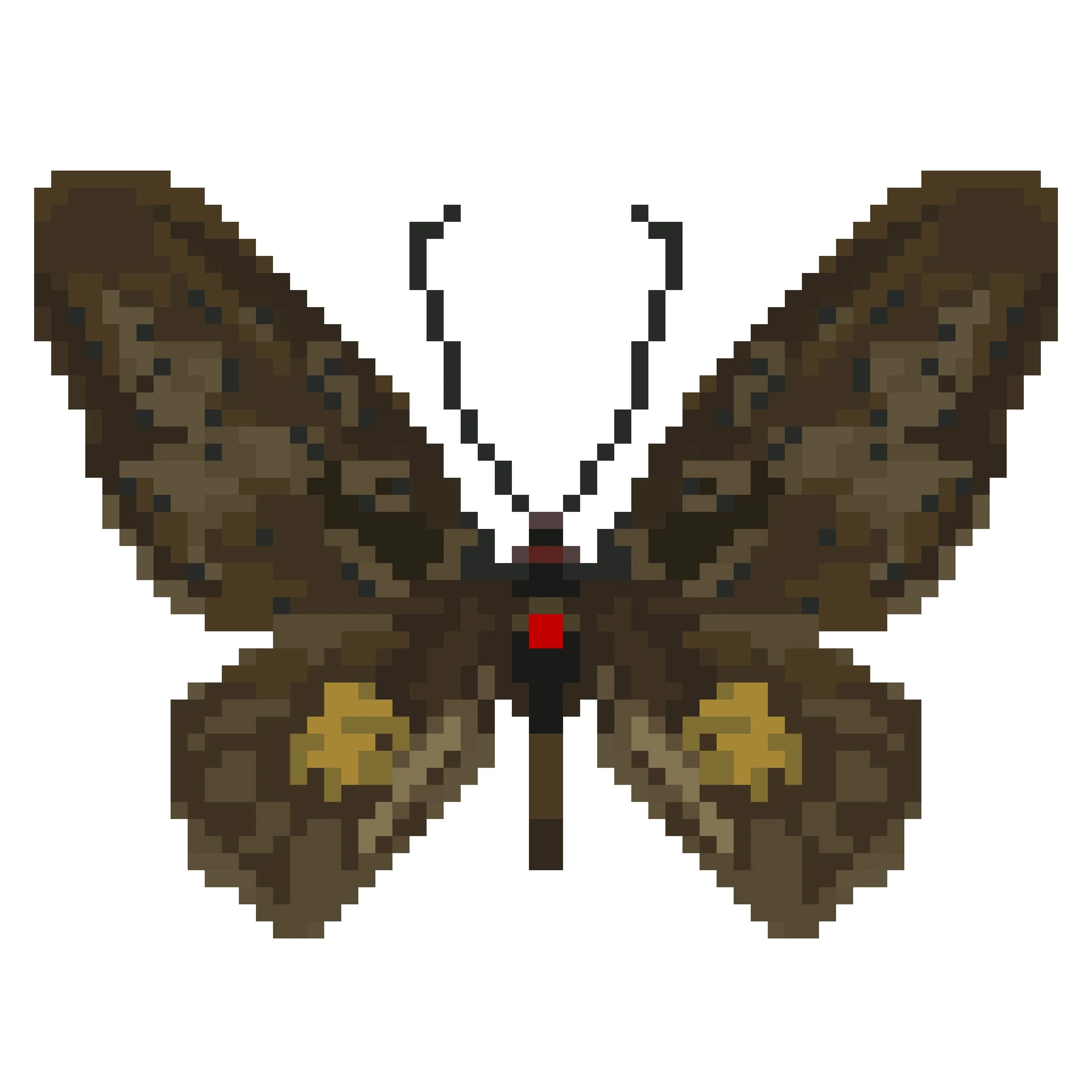 Wingpin#0580-Troides dohertyi.jpg