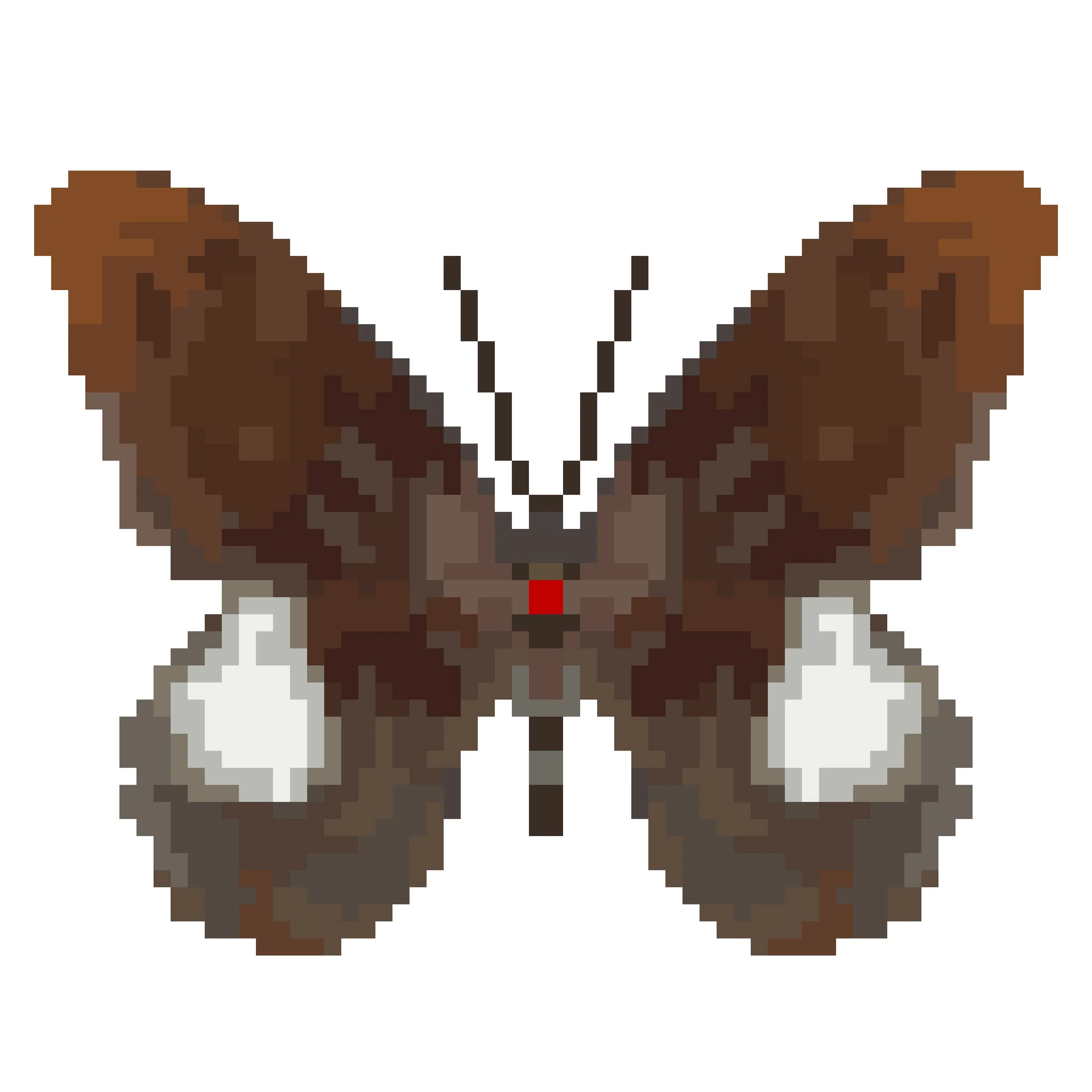 Wingpin#0398-Papilio castor.jpg