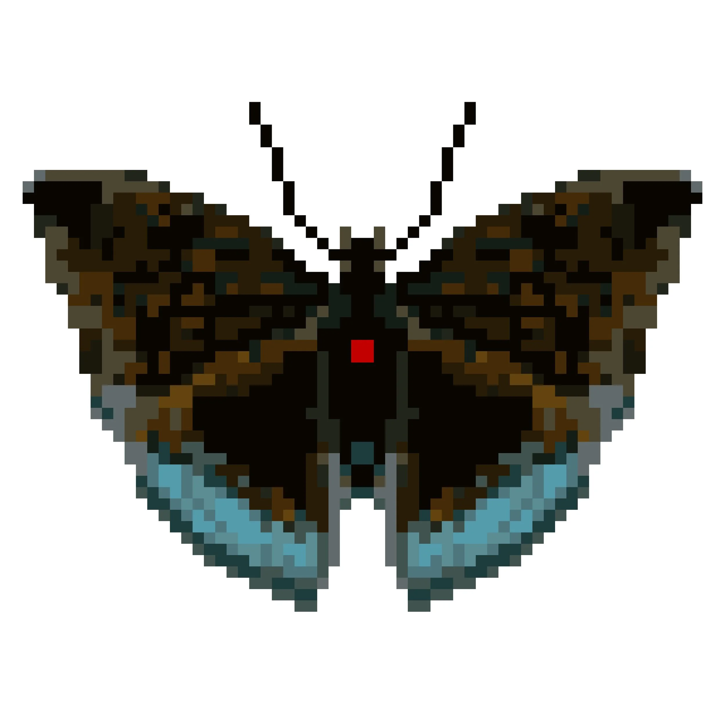 Wingpin#0268-Euthalia monina.jpg