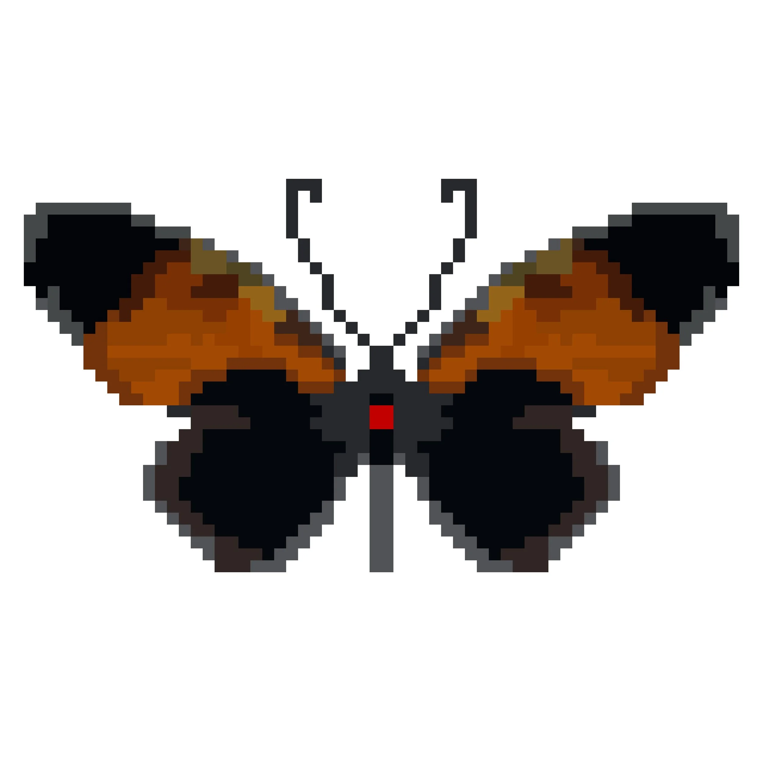 Wingpin#0966-Papilio bachus.jpg