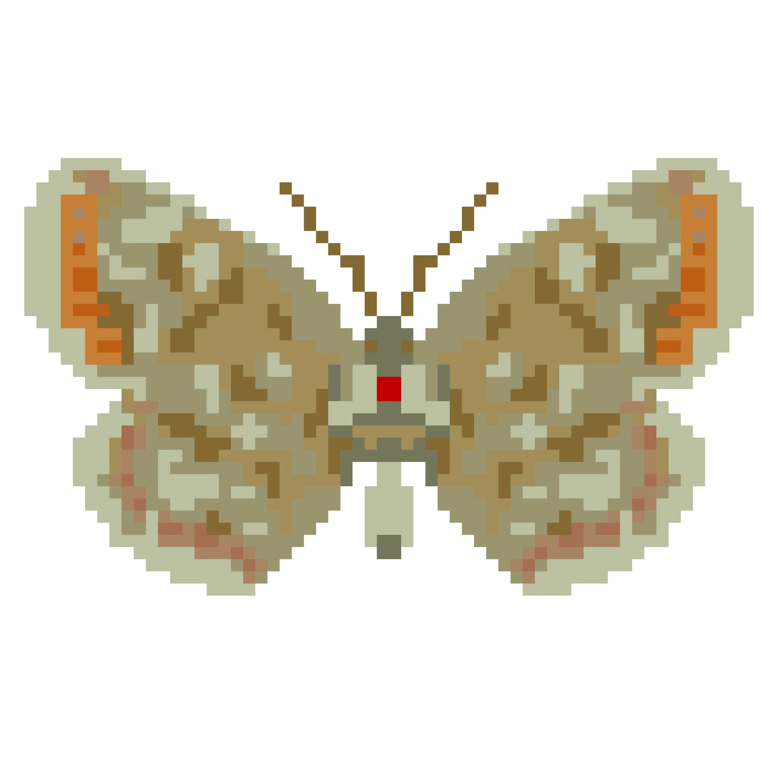 Wingpin#0065-Aricia artaxerxes.jpg