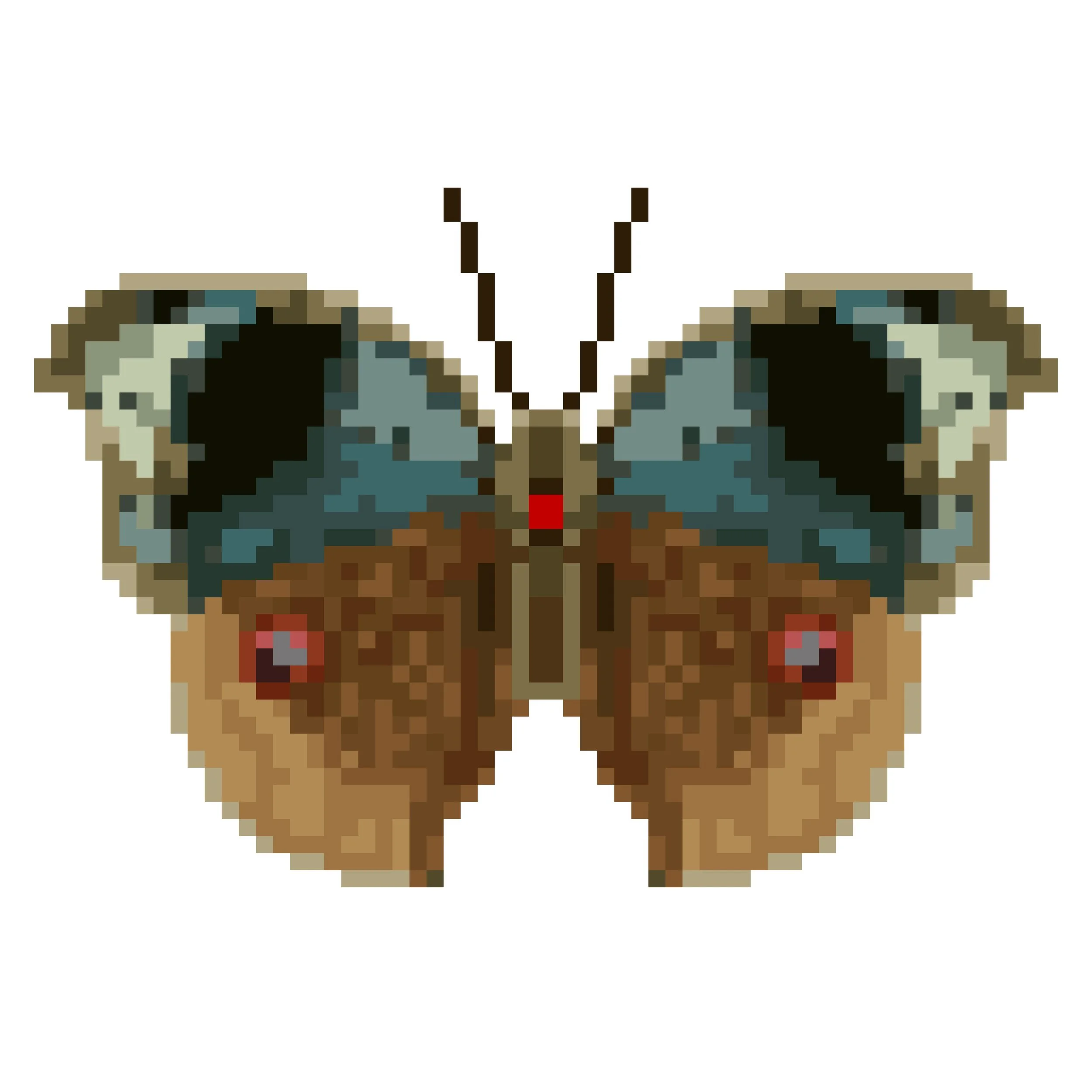 Wingpin#0144-Junonia artaxia.jpg