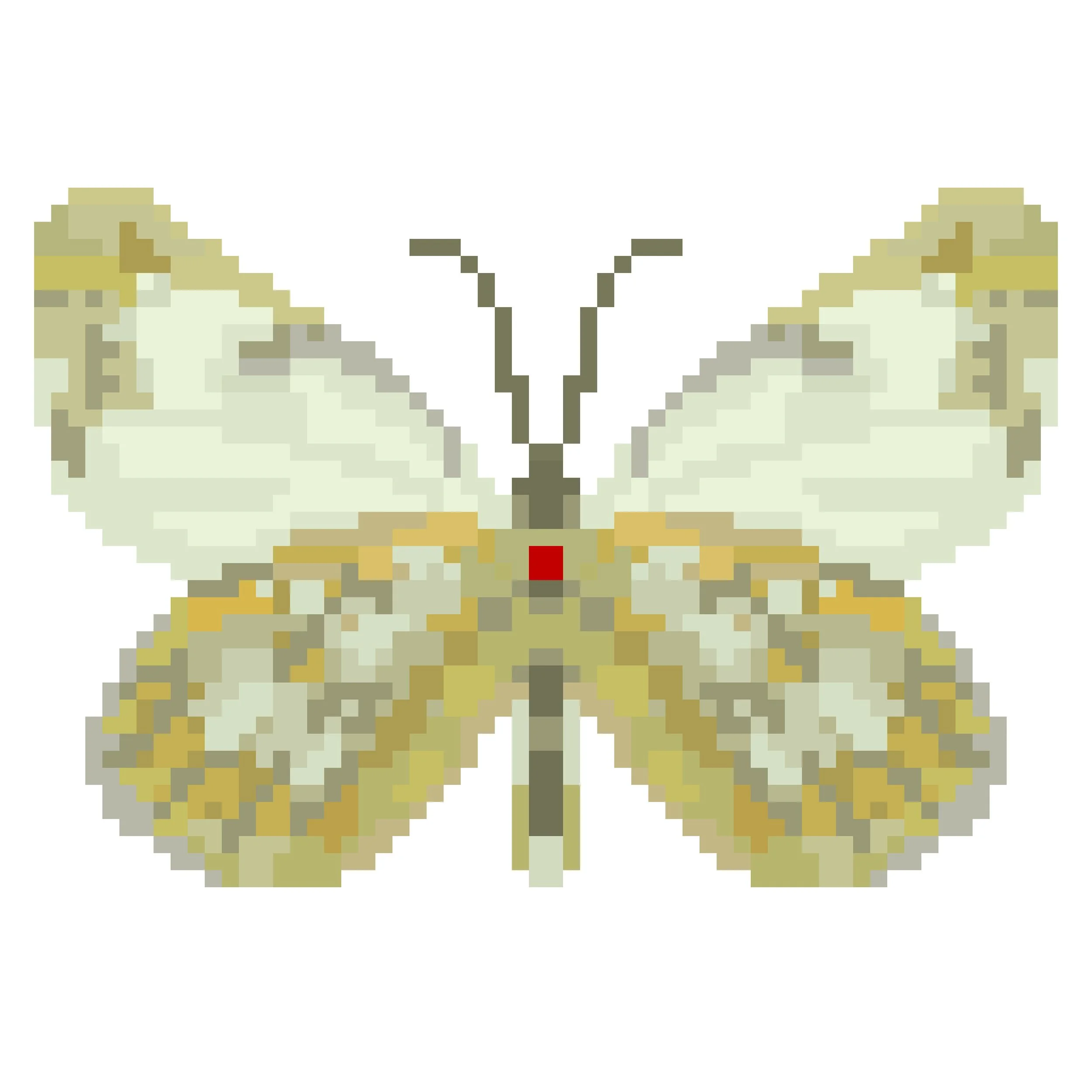 Wingpin#0386-Pontia helice.jpg