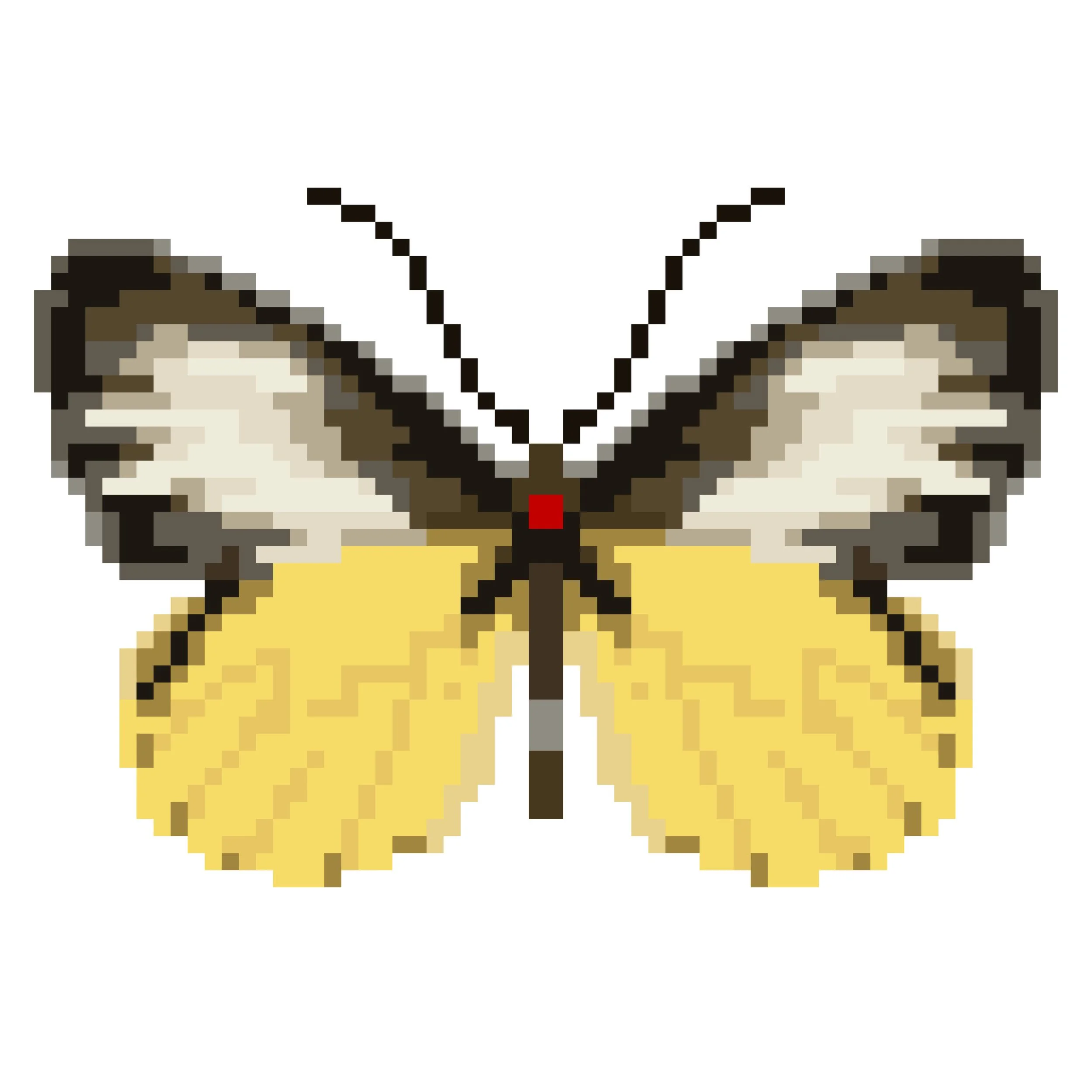 Wingpin#0187-Mylothris sagala.jpg