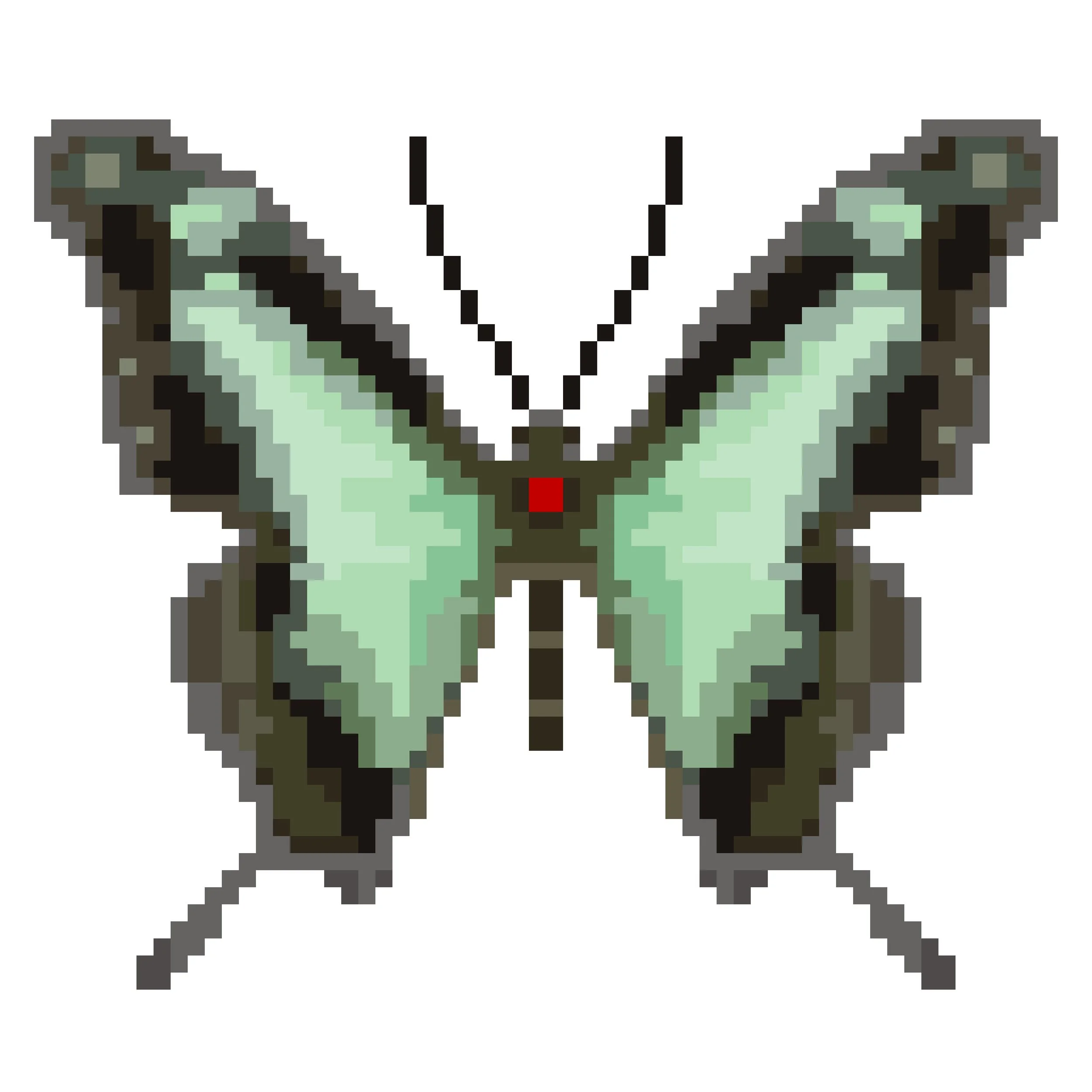 Wingpin#0161-Papilio phorcas.jpg
