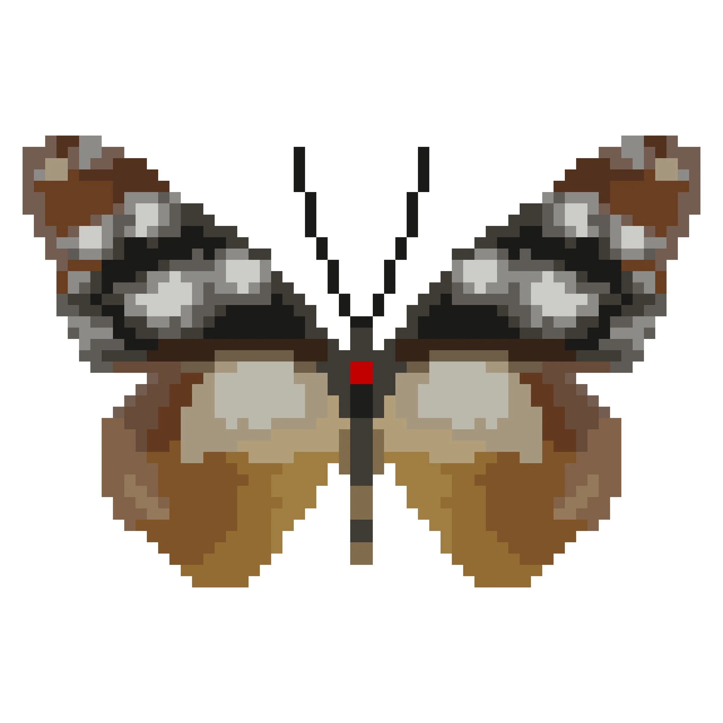 Wingpin#0453-Amauris damocles.jpg