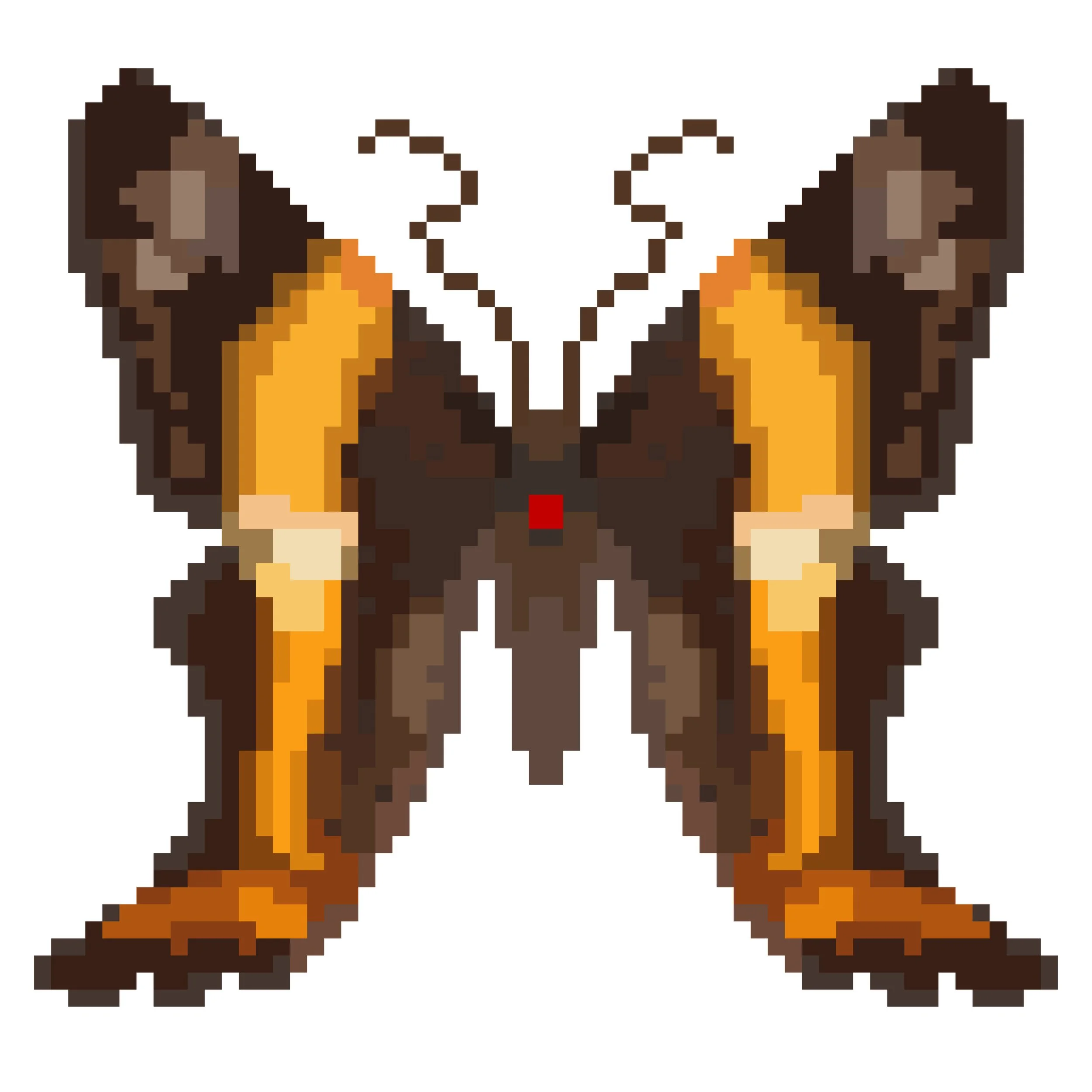 Wingpin#0977-Ancyluris paramba.jpg