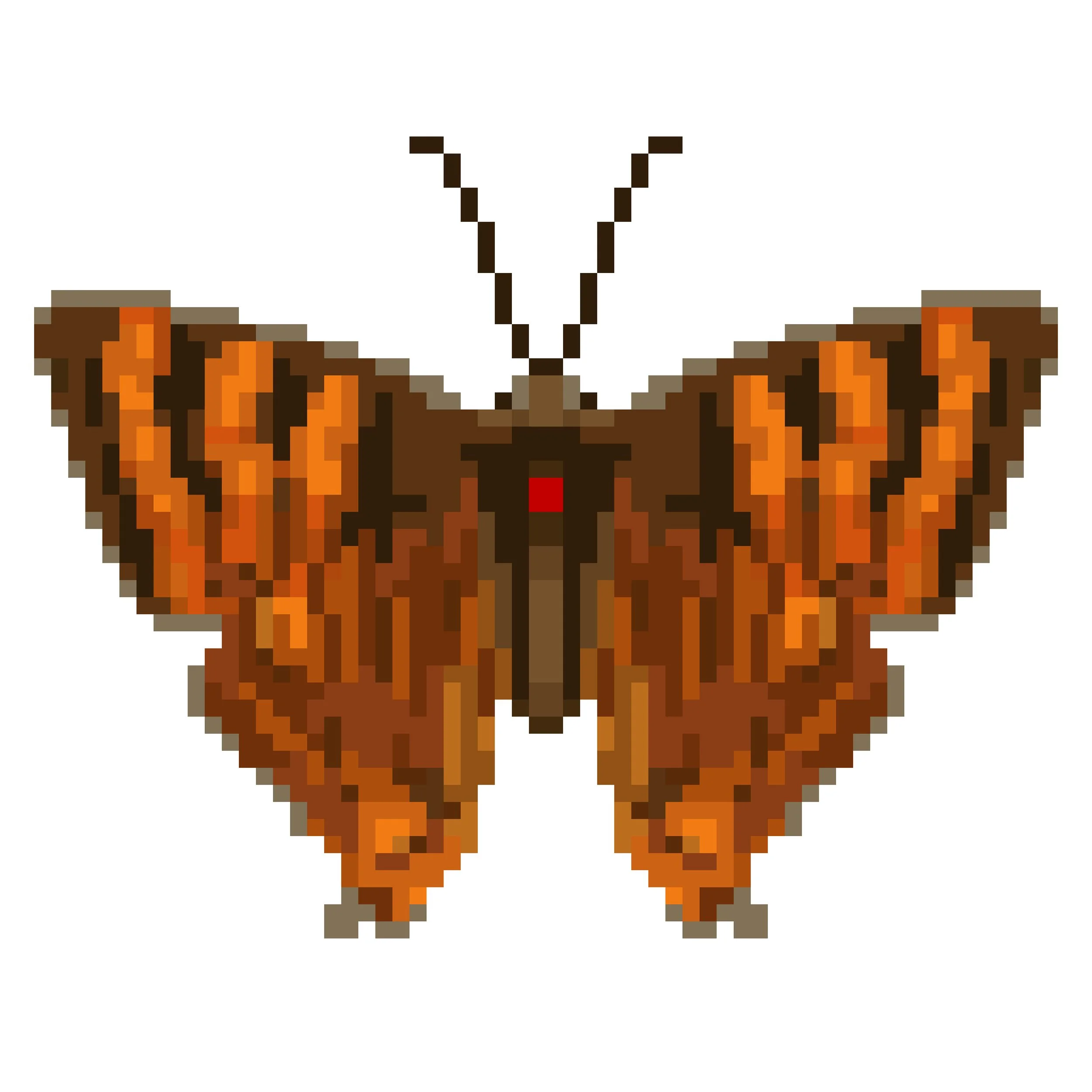 Wingpin#0407-Dodona adonira.jpg