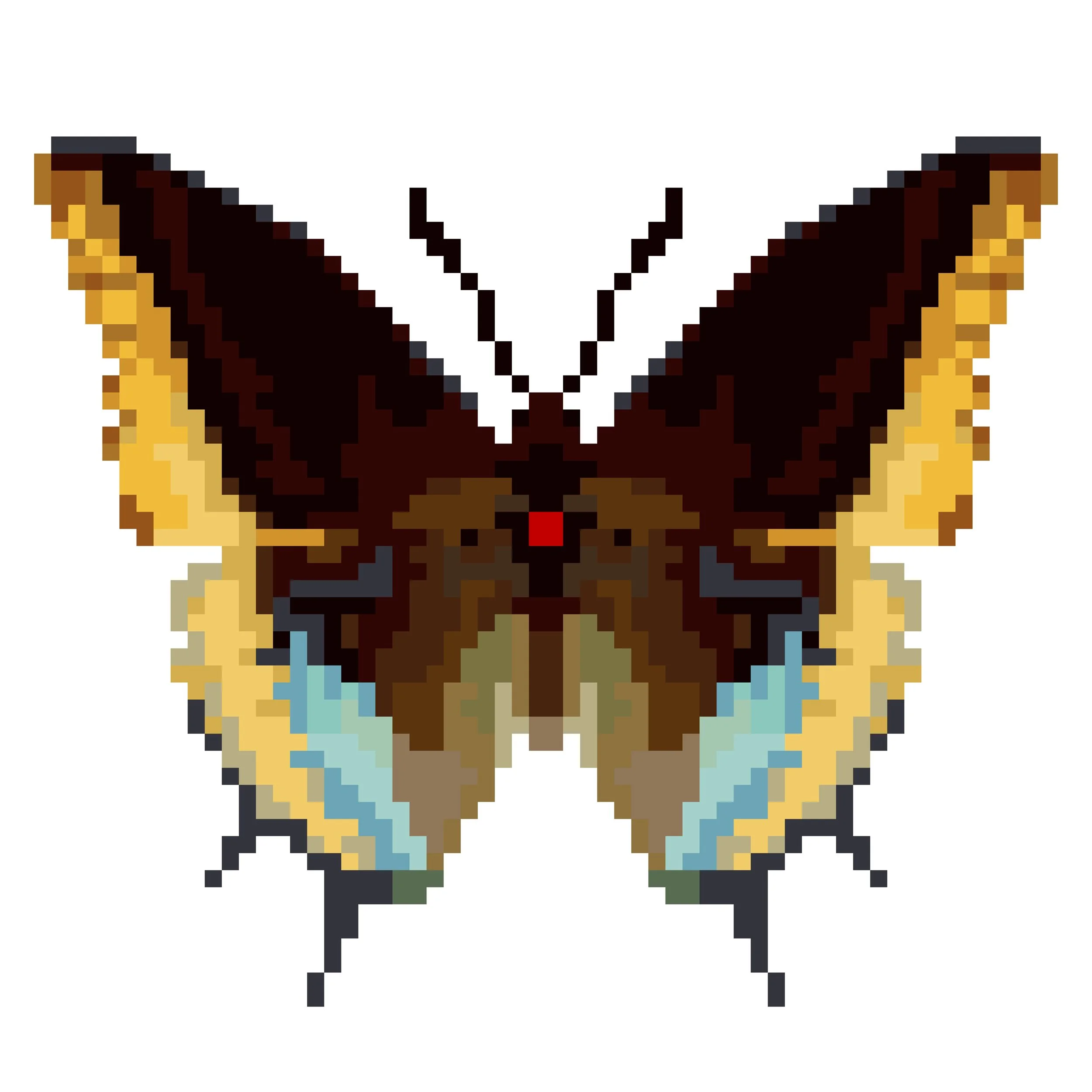 Wingpin#0164-Charaxes jasius epijasius.jpg