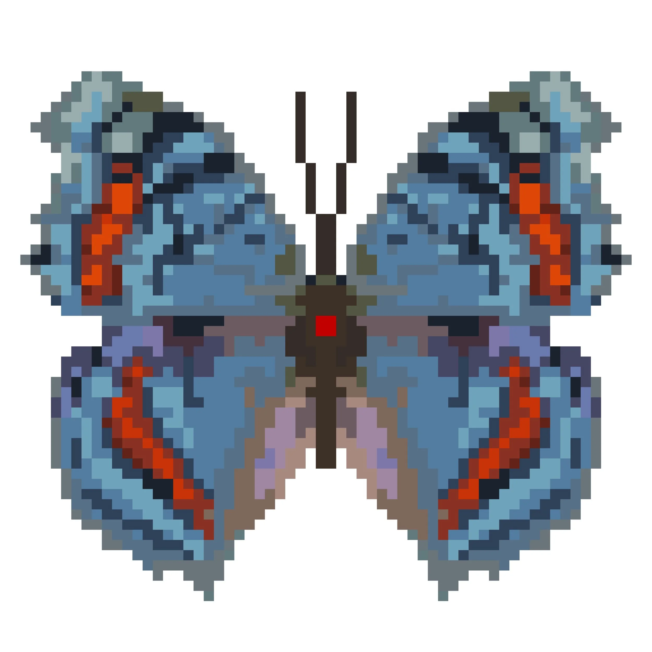 Wingpin#0162-Precis octavia.jpg
