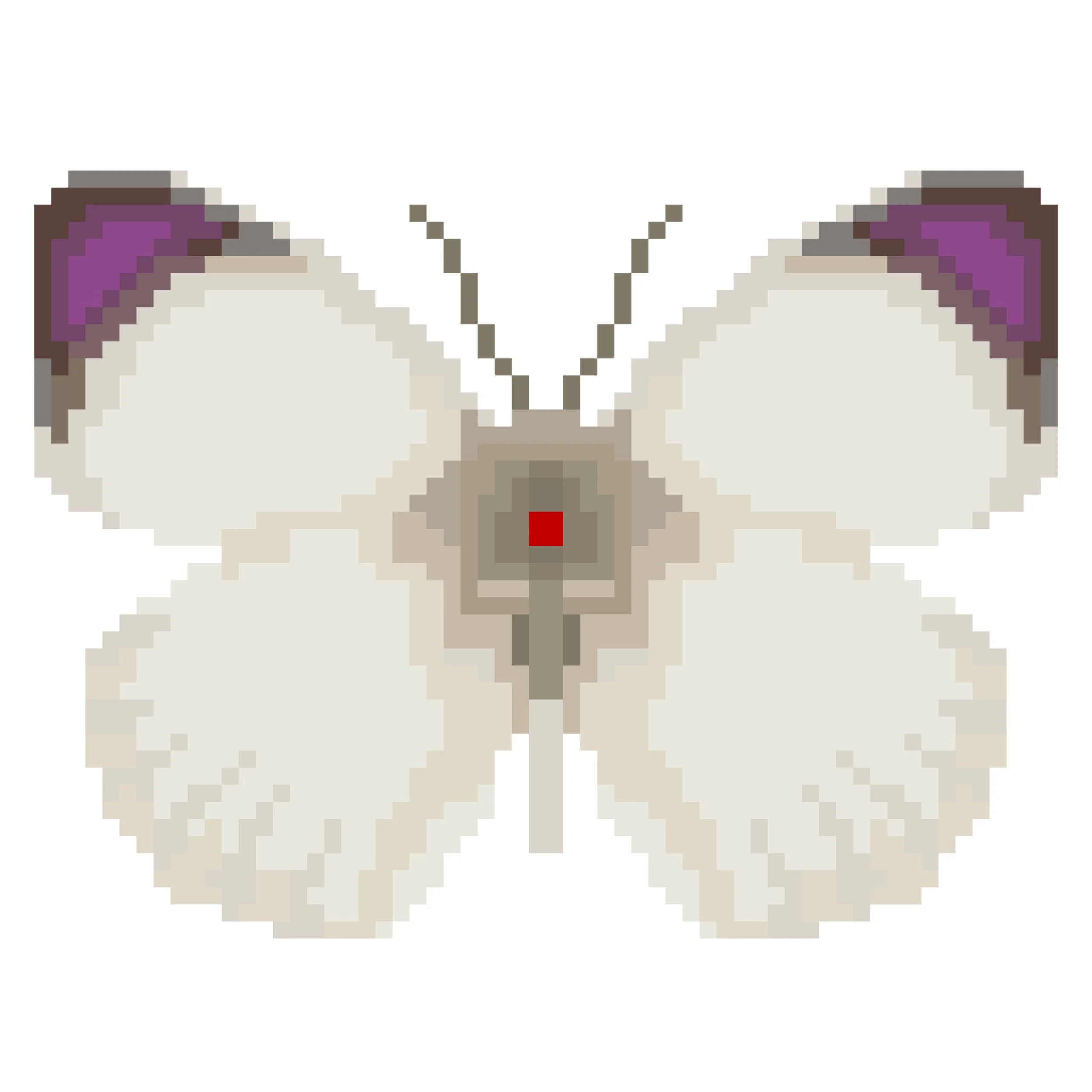 Wingpin#0090-Colotis erone.jpg