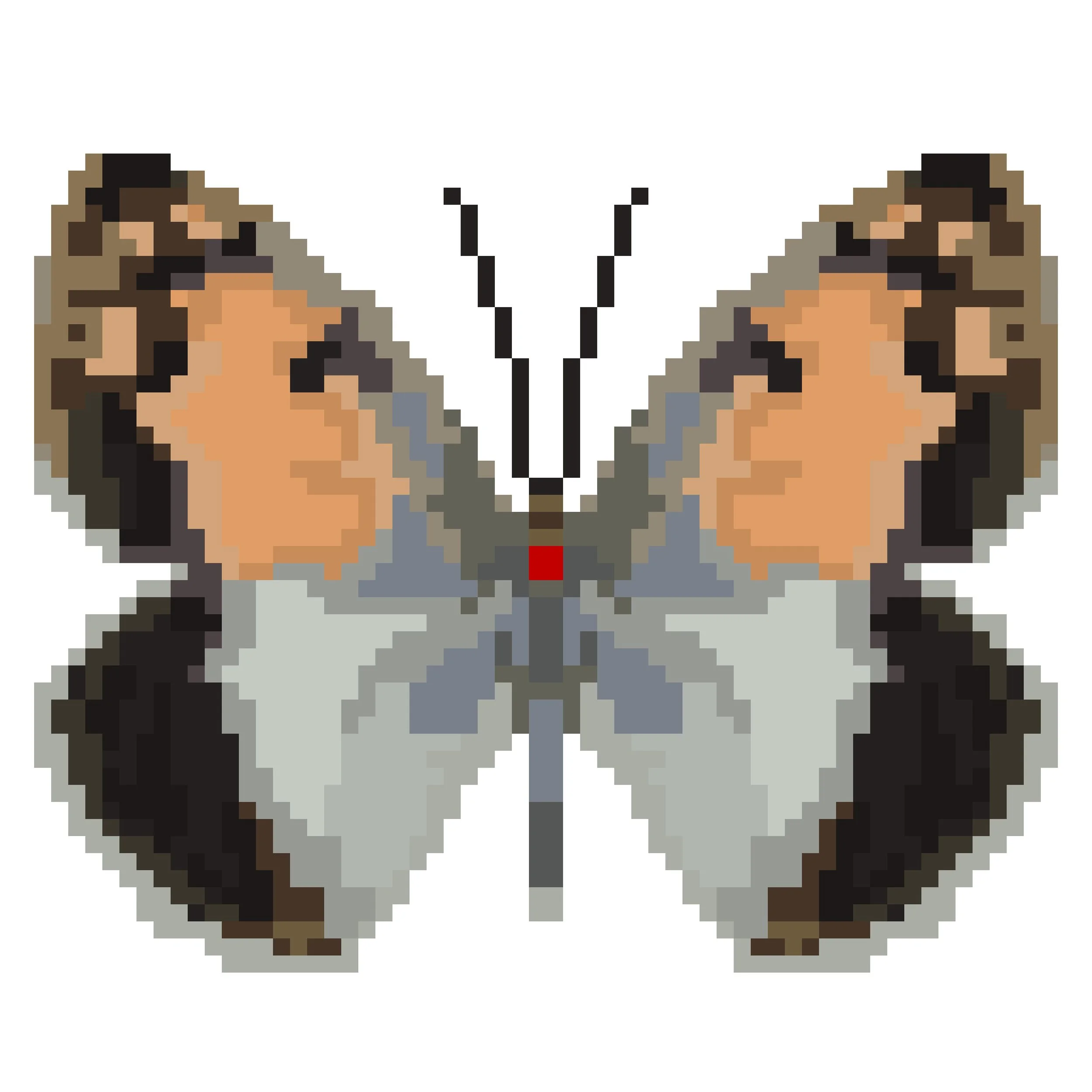 Wingpin#0175-Colotis phisadia.jpg