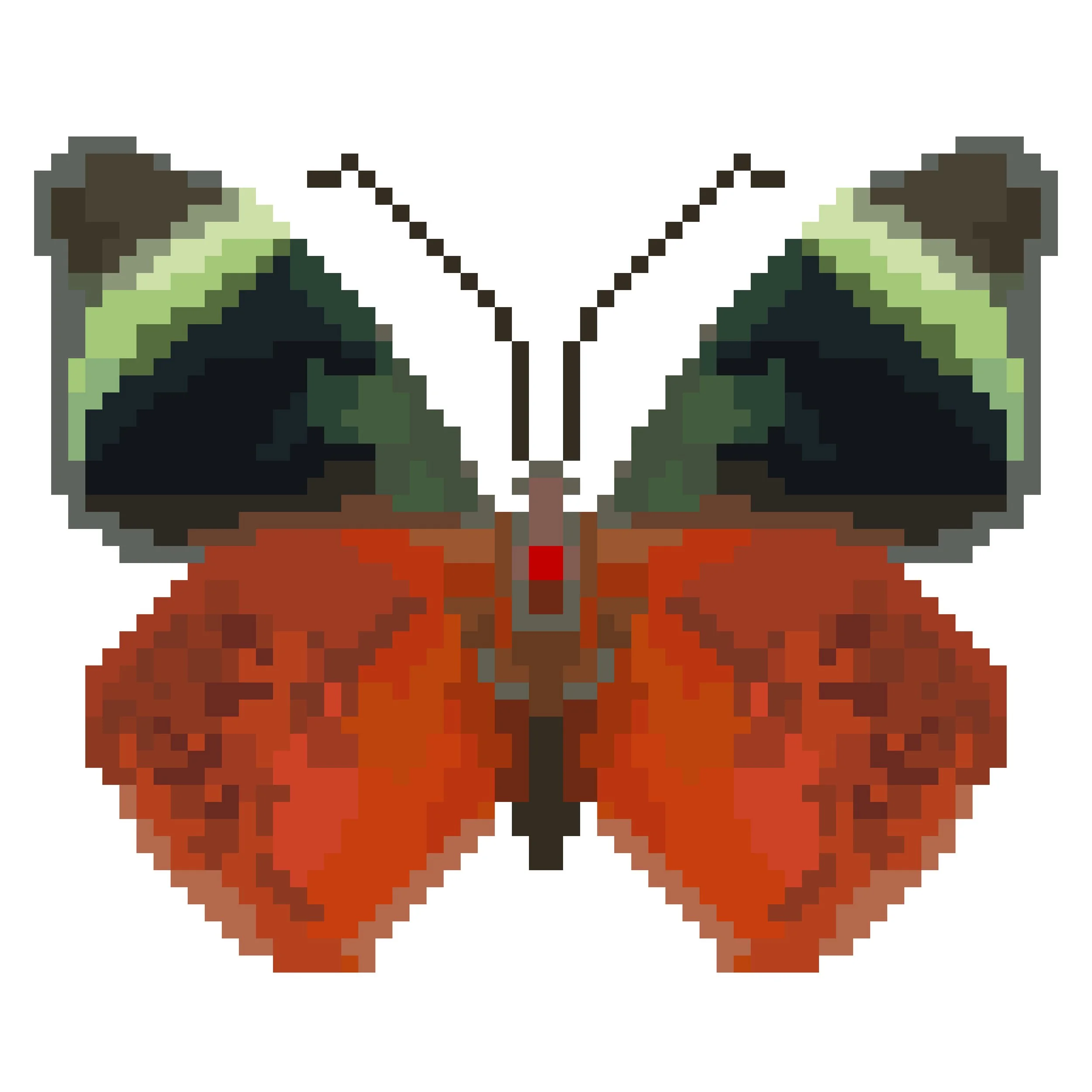Wingpin#0945-Papilio astyalus phanais.jpg