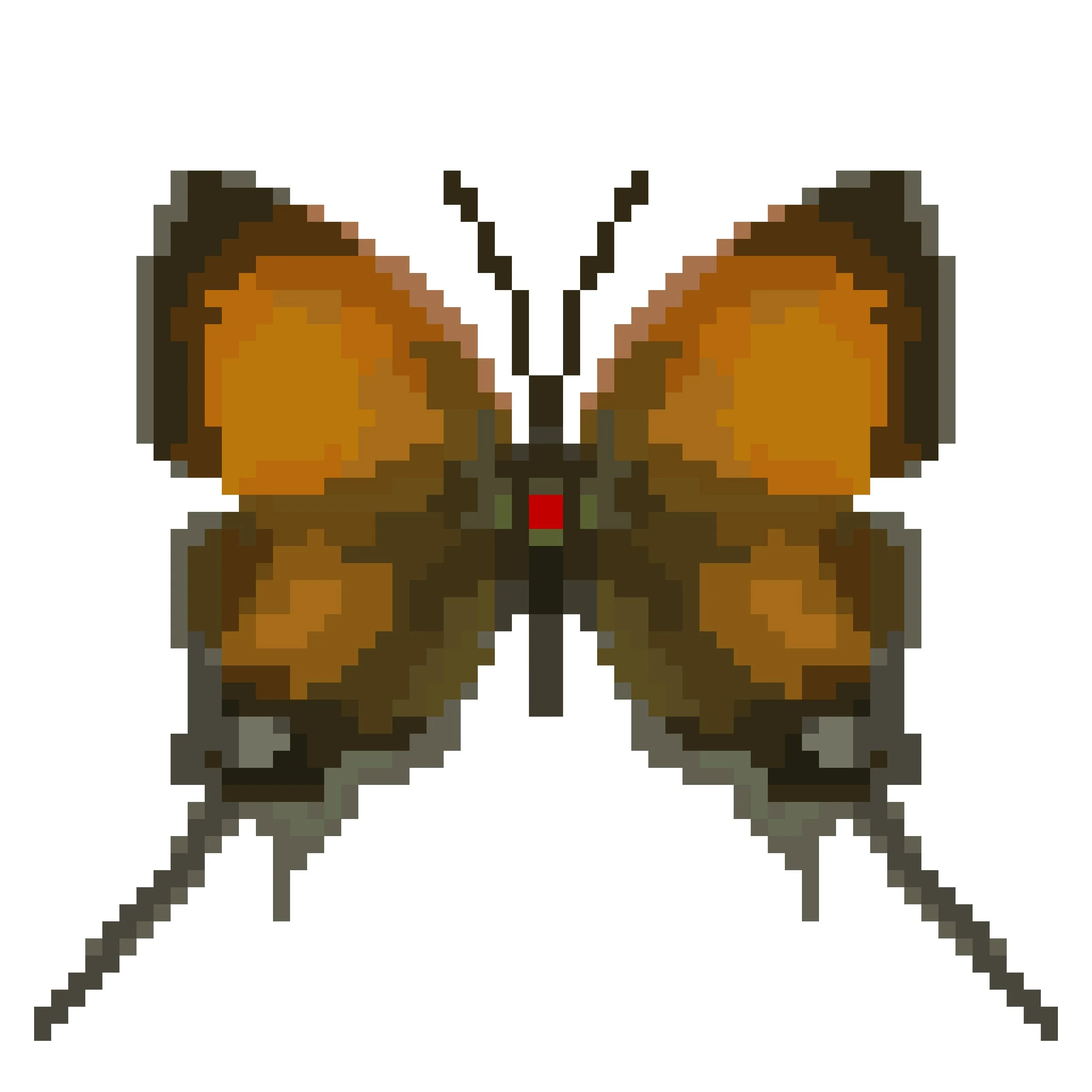 Wingpin#0385-Cheritra freja.jpg