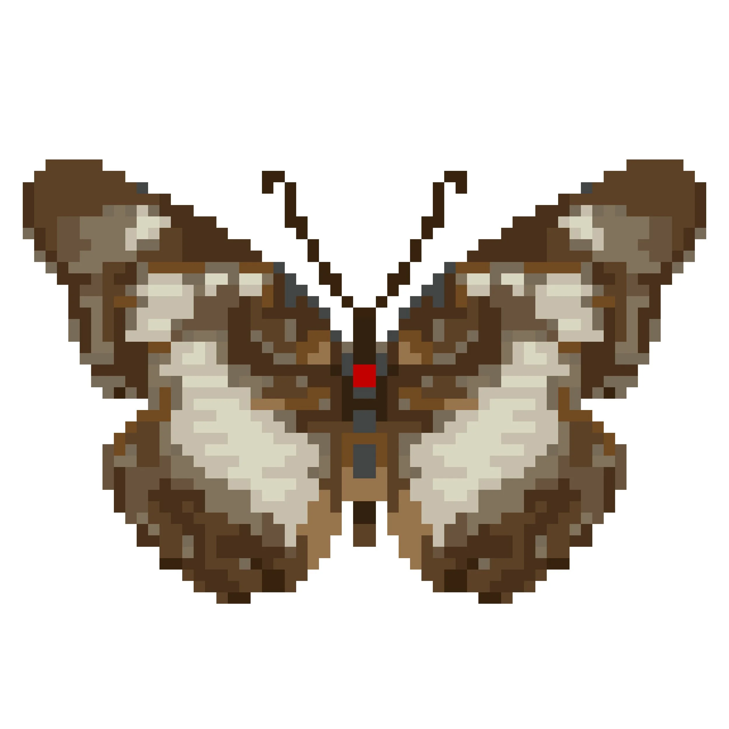 Wingpin#0171-Pseudacraea lucretia.jpg