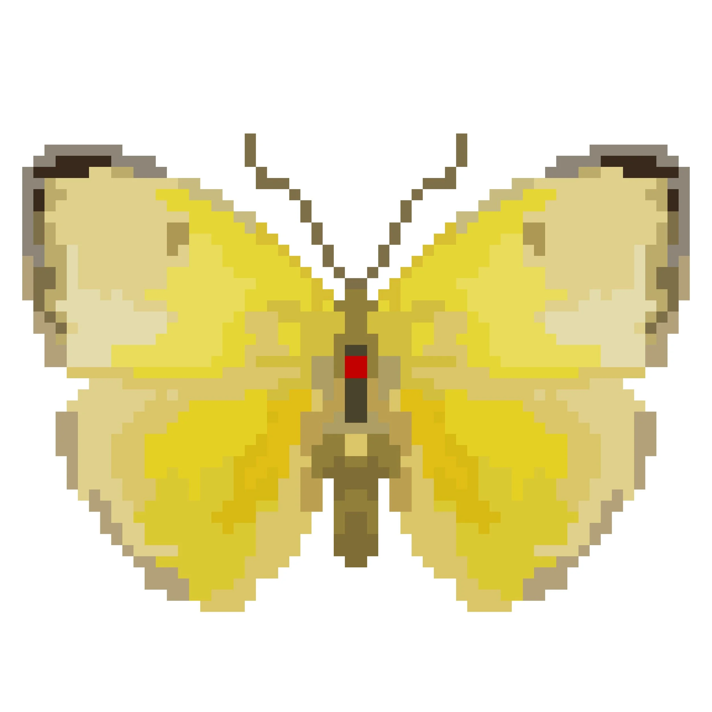 Wingpin#0569-Aphrissa statira.jpg