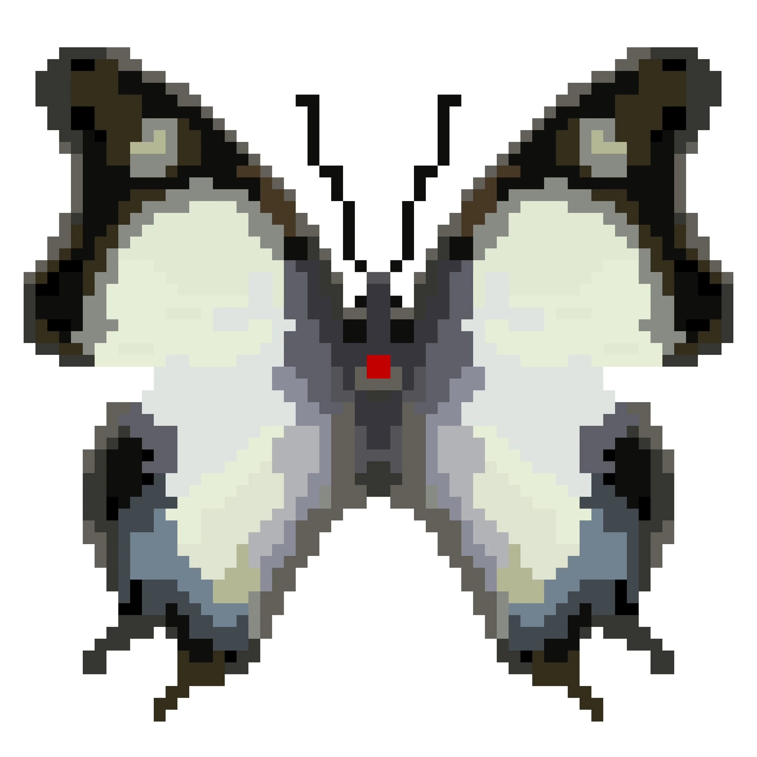 Wingpin#0525-Polyura moori.jpg