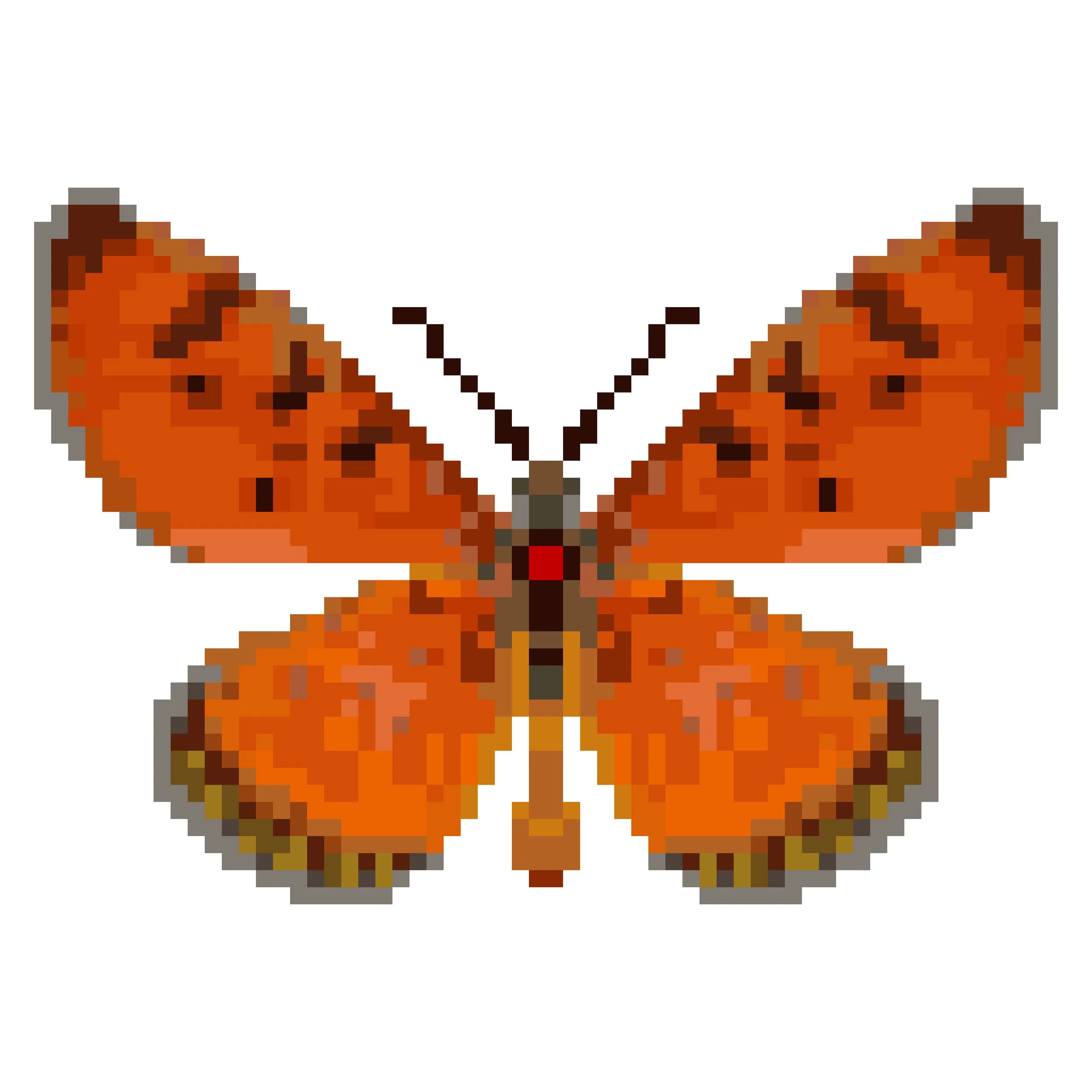 Wingpin#0280-Acraea terpsicore.jpg