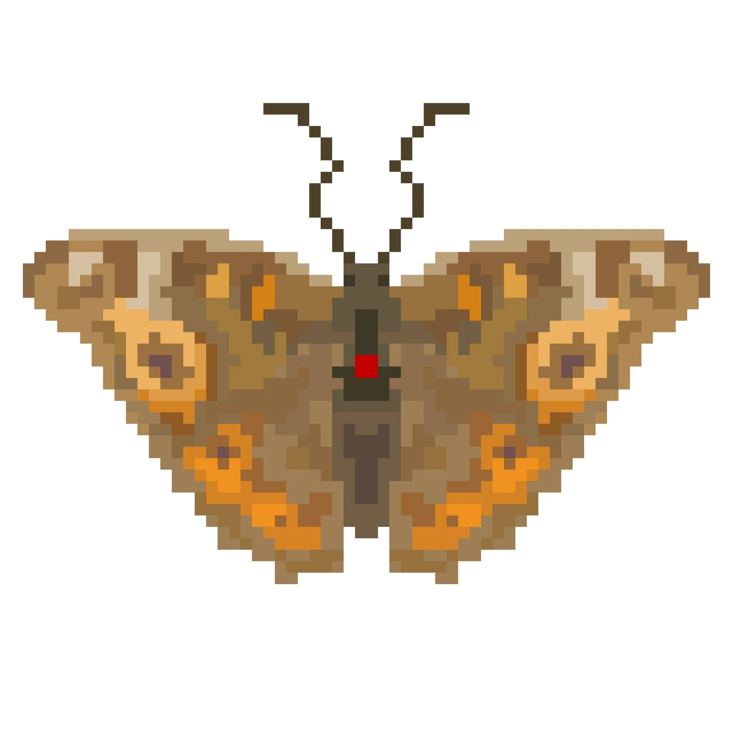Wingpin#0849-Meadow argus.jpg