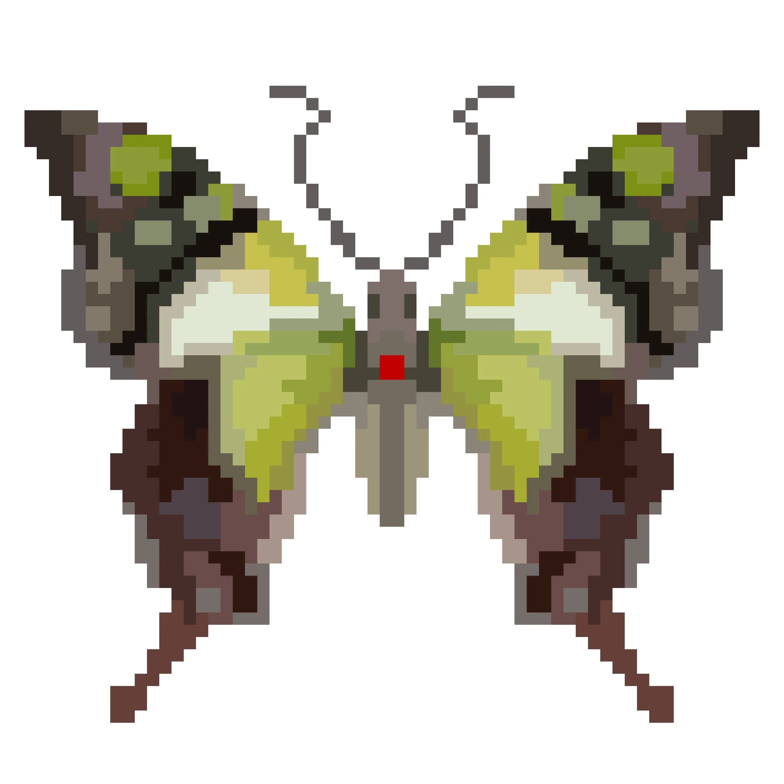Wingpin#0873-Graphium macleayanus.jpg