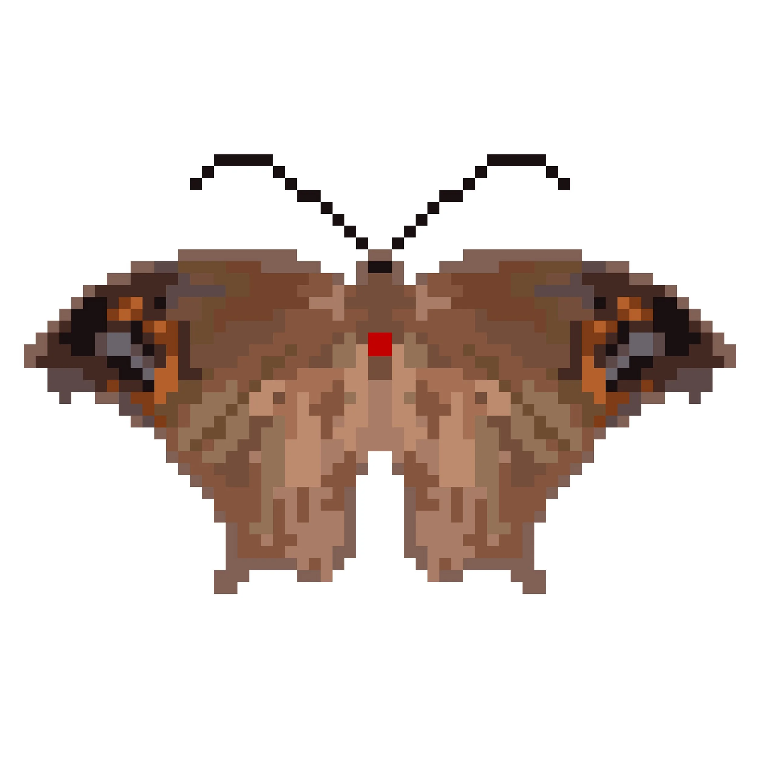 Wingpin#0160-Melanitis leda.jpg