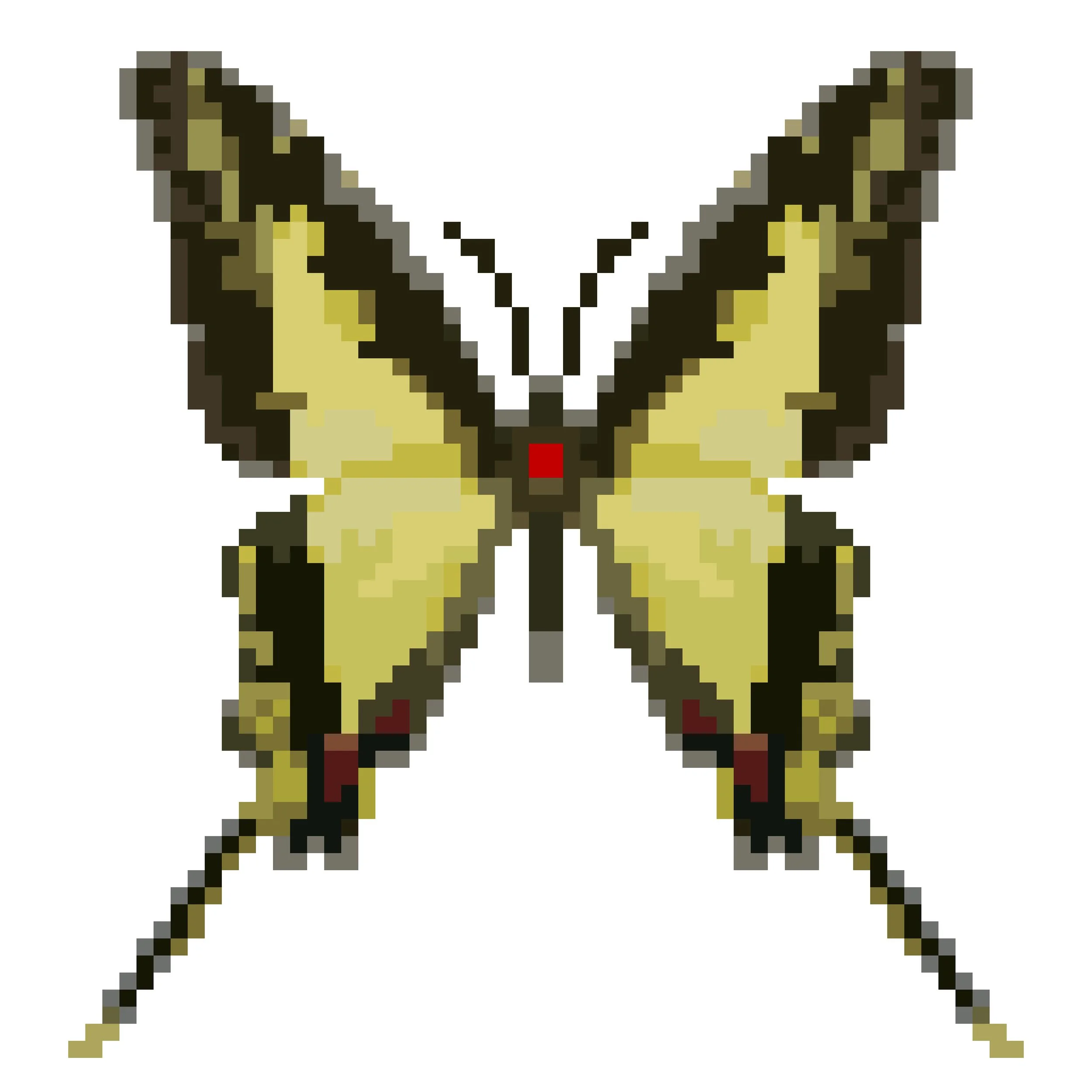 Wingpin#0593-Eurytides dioxippus.jpg