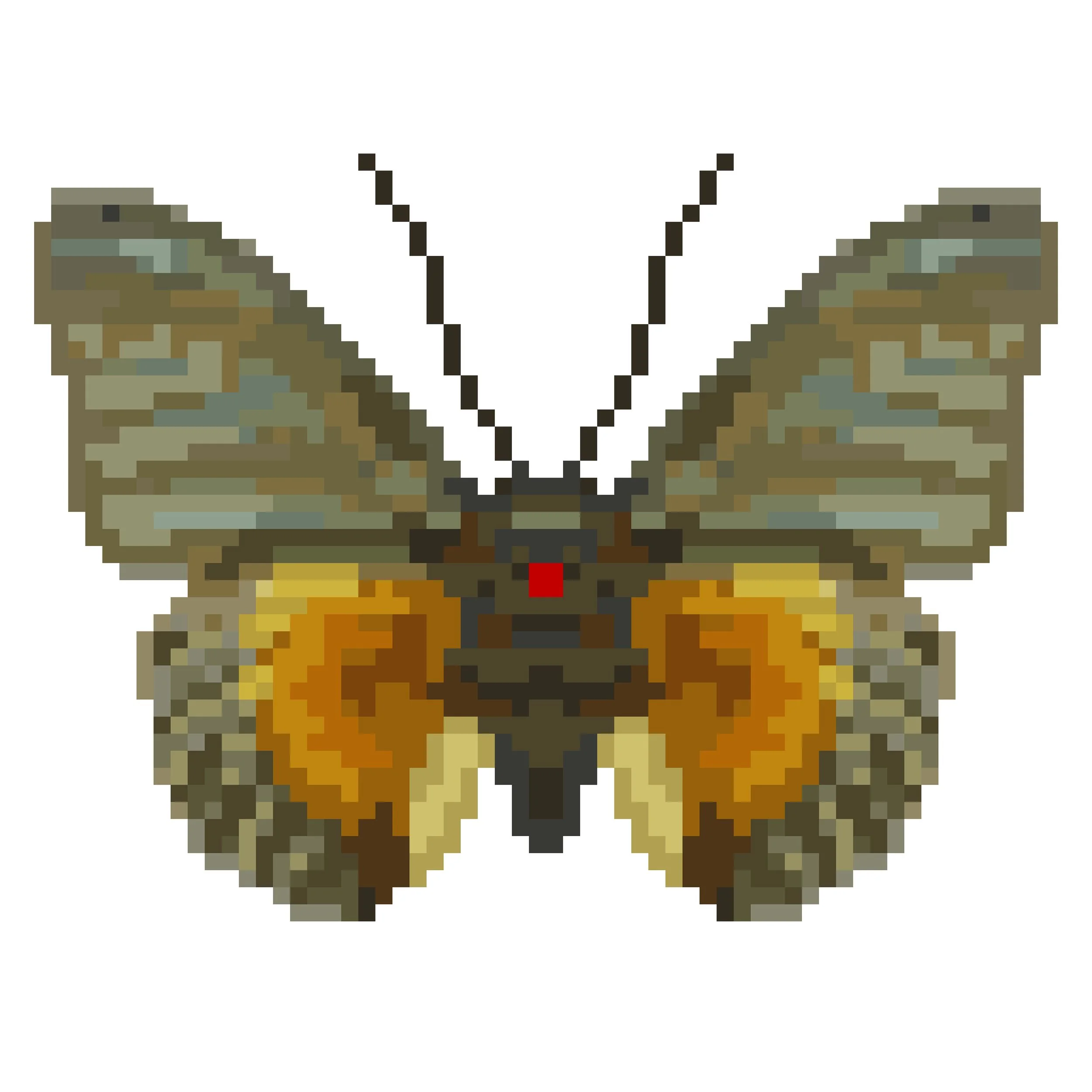 Wingpin#0153-Euphaedra edwardsii.jpg