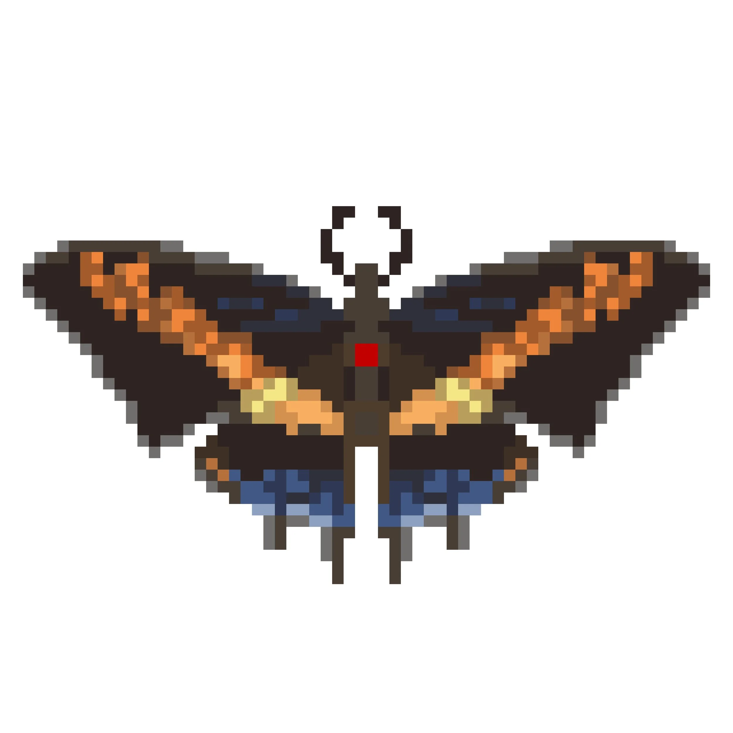 Wingpin#0322-Charaxes castor.jpg