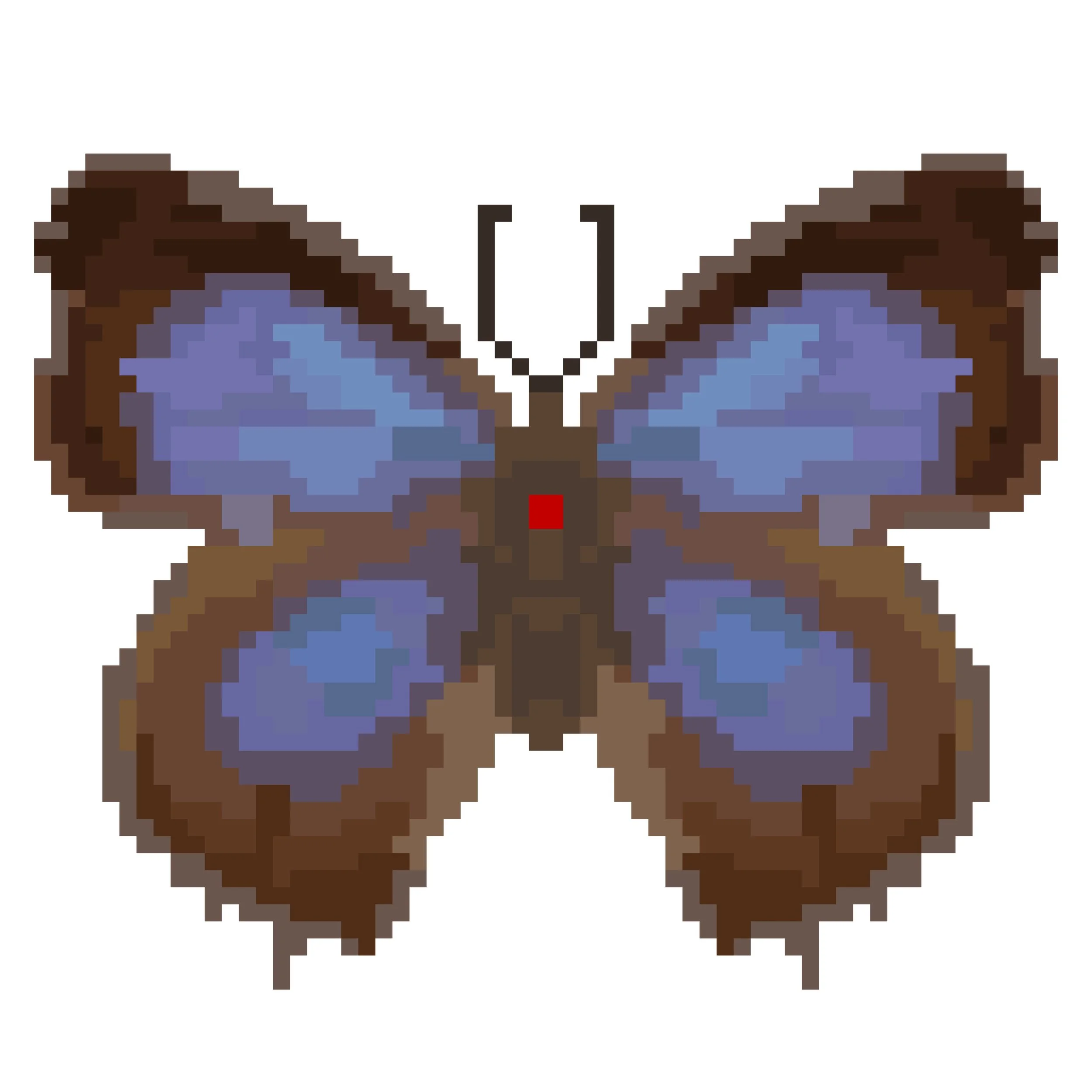 Wingpin#0362-Apporasa atkinsoni.jpg