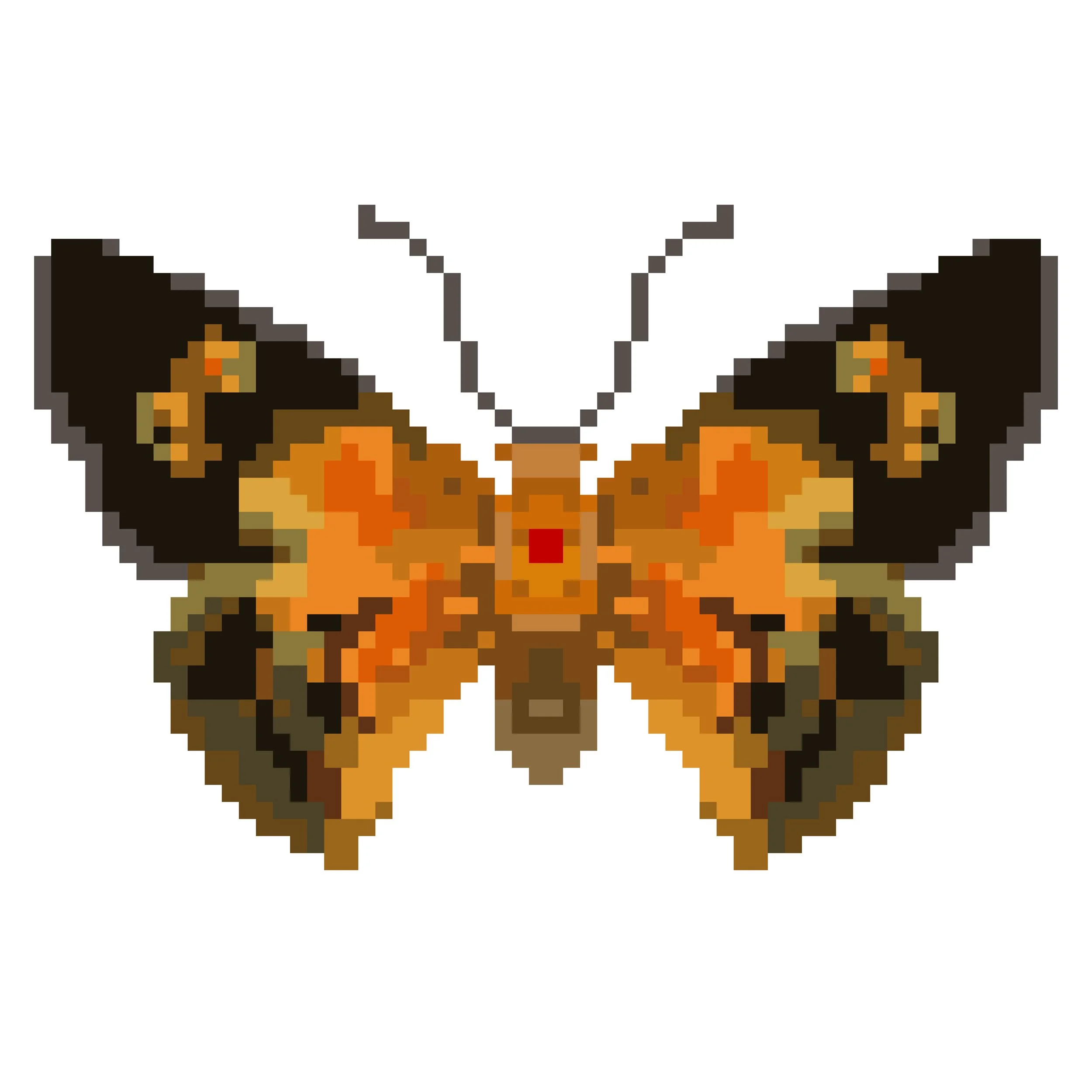 Wingpin#0576-Liphyra brassolis.jpg