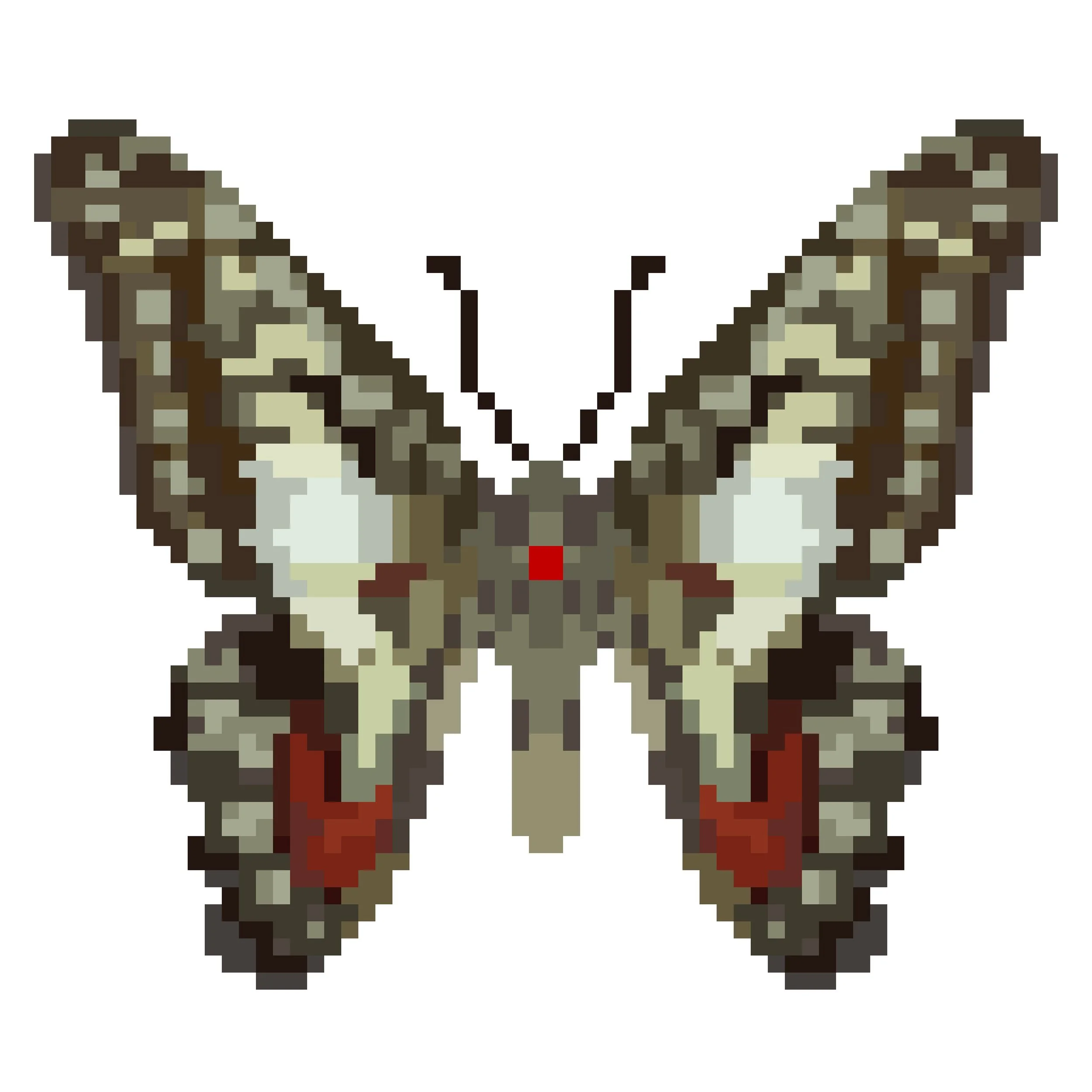 Wingpin#0706-Graphium doson rubroplaga.jpg