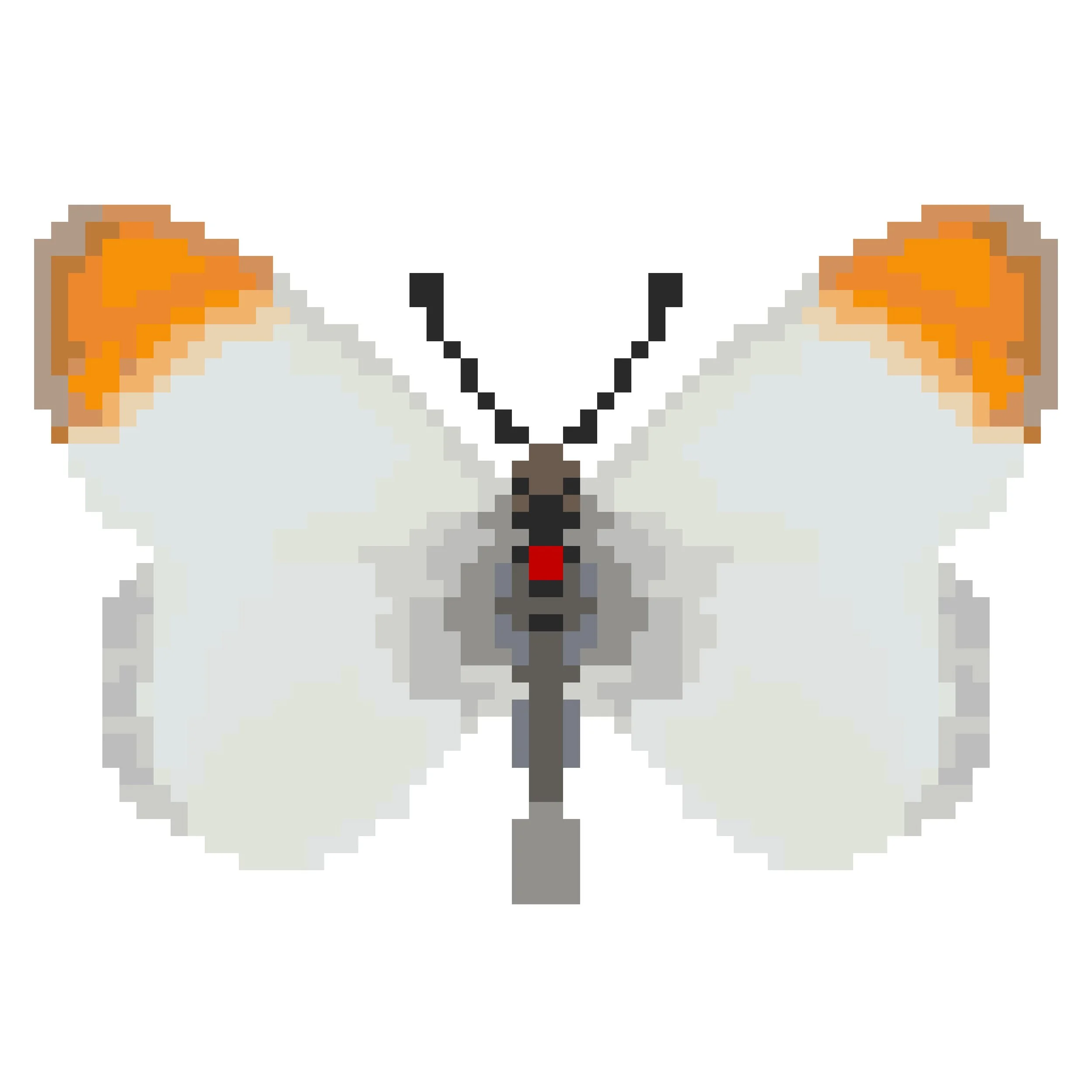 Wingpin#0166-Colotis evagore.jpg