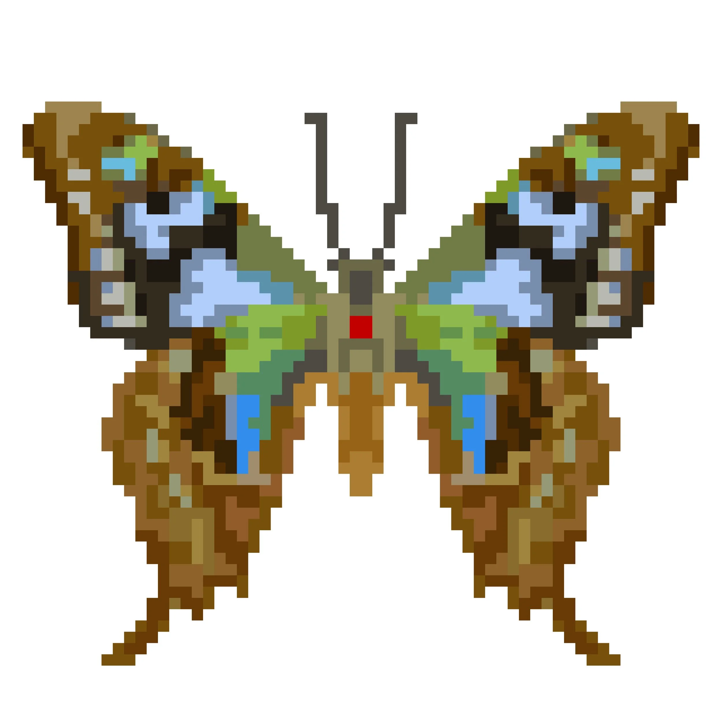 Wingpin#0965-Graphium stresemanni.jpg
