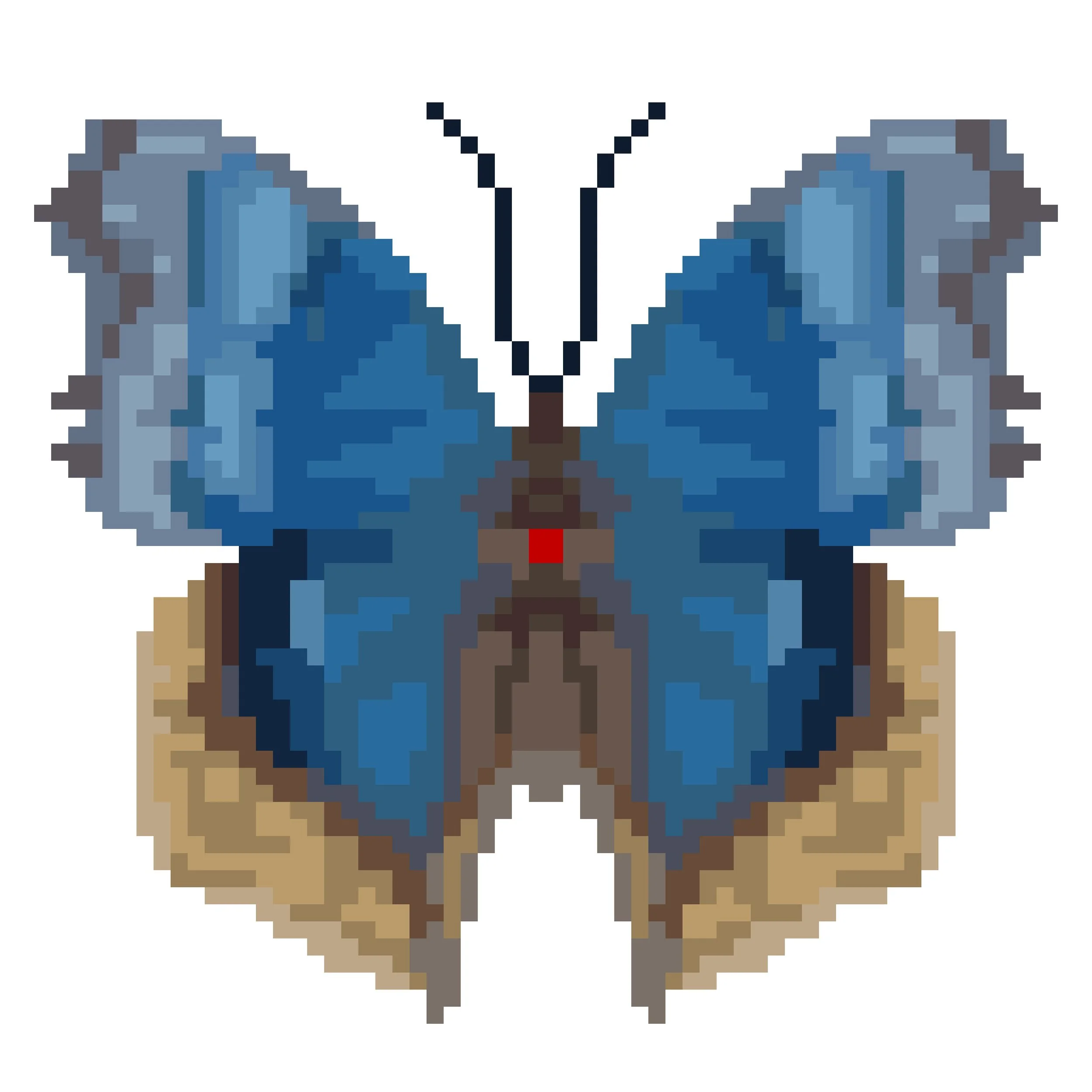 Wingpin#0215-Protogoniomorpha temora.jpg