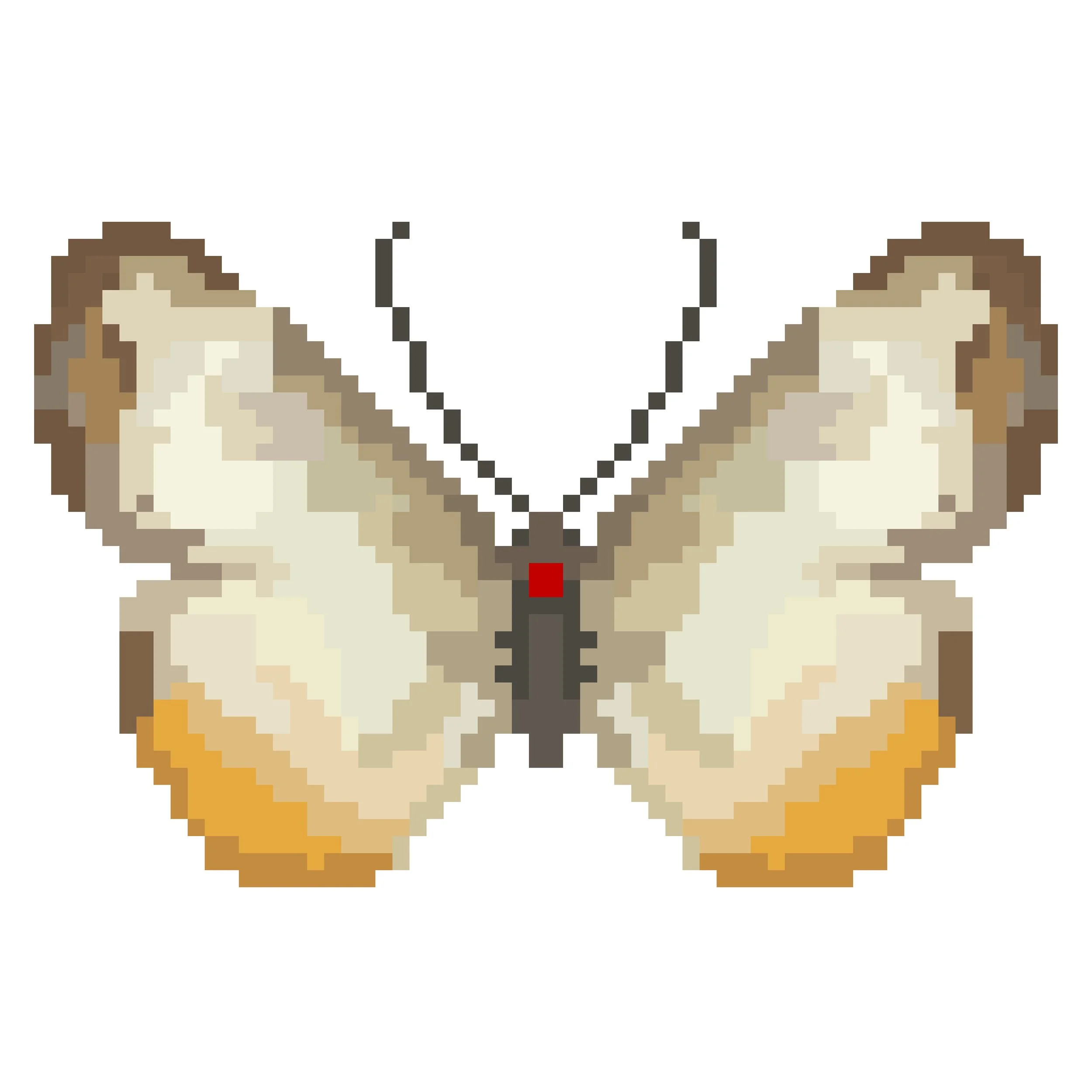 Wingpin#0789-Mestra hypermestra.jpg
