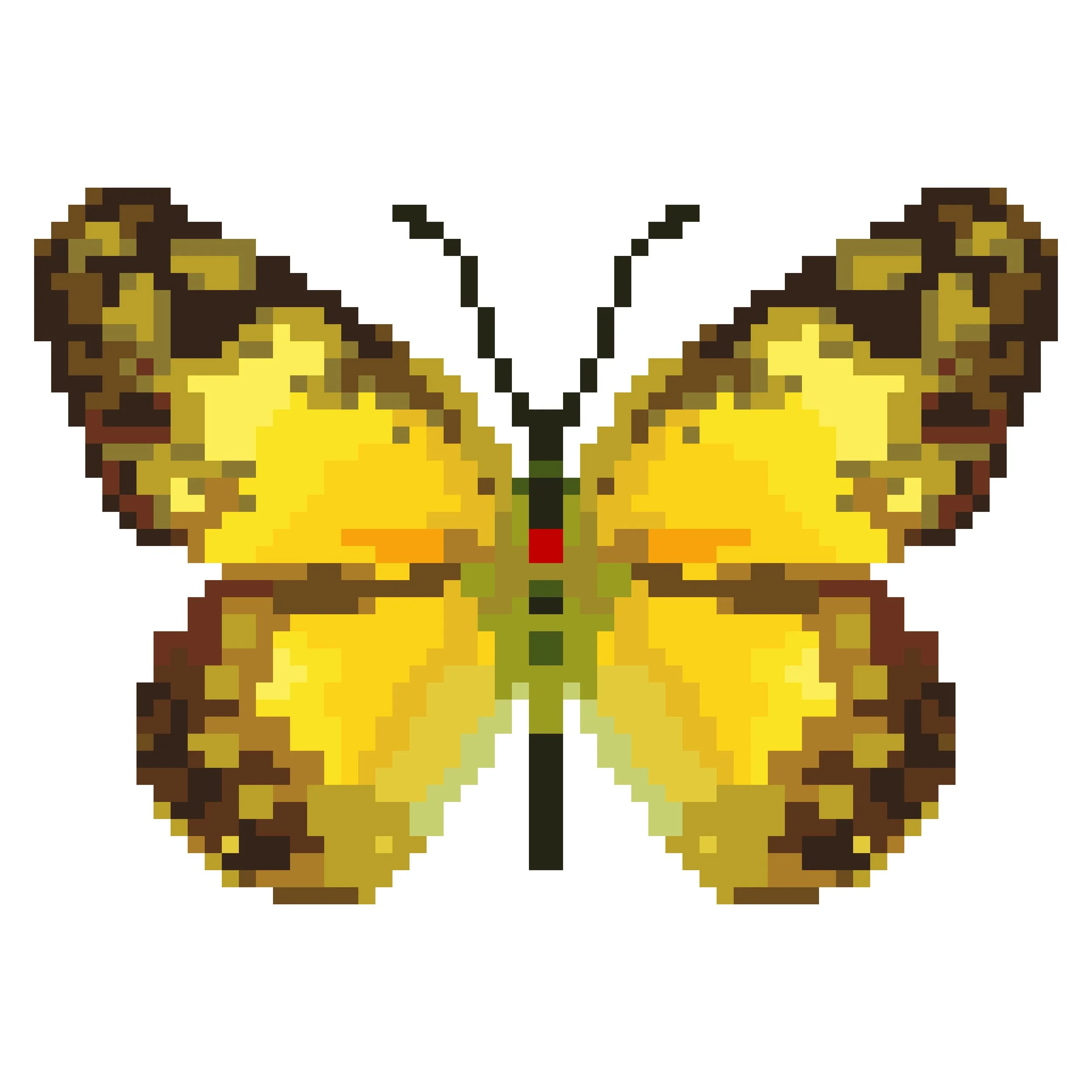 Wingpin#0195-Colotis amata.jpg