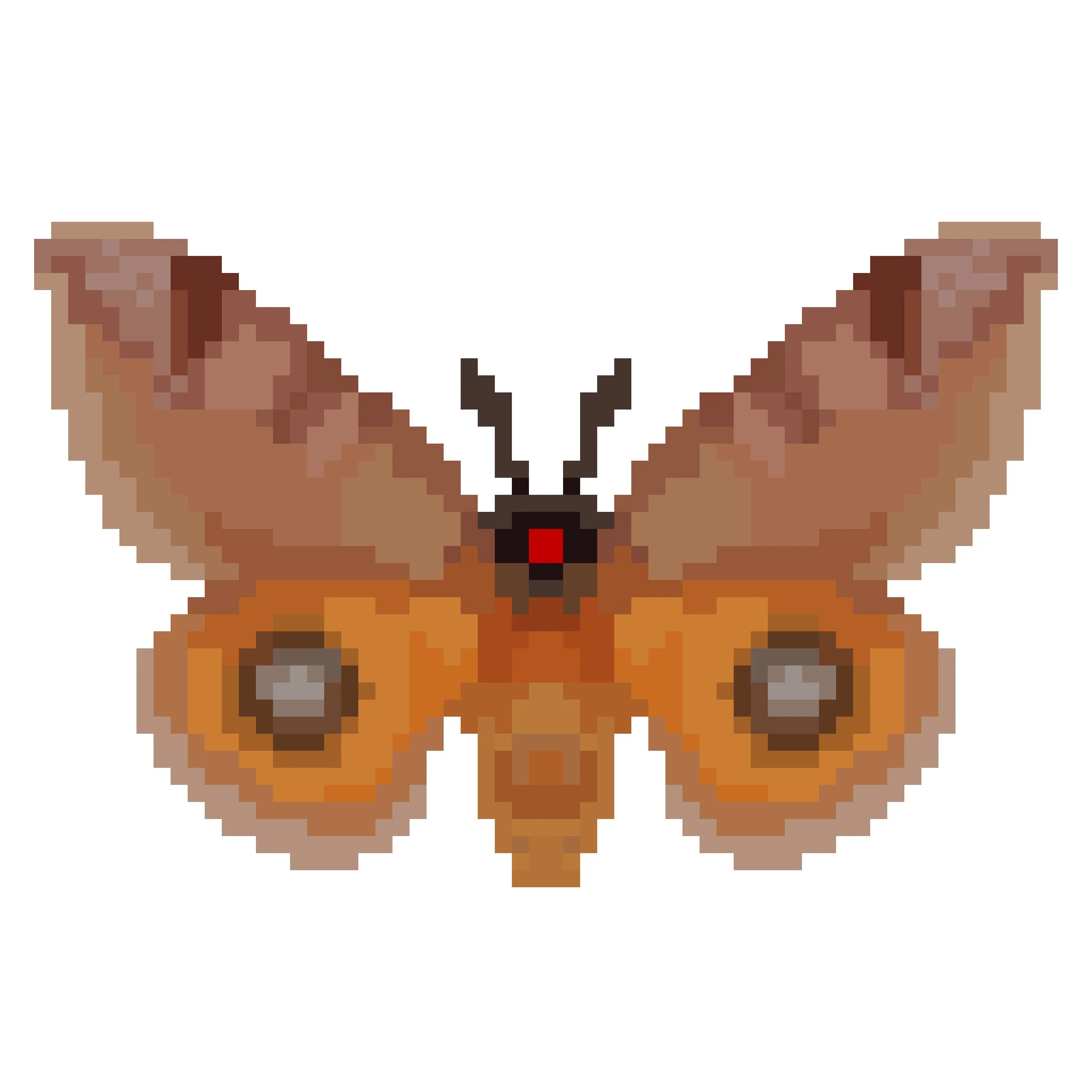 Wingpin#0718-Automeris jucunda.jpg