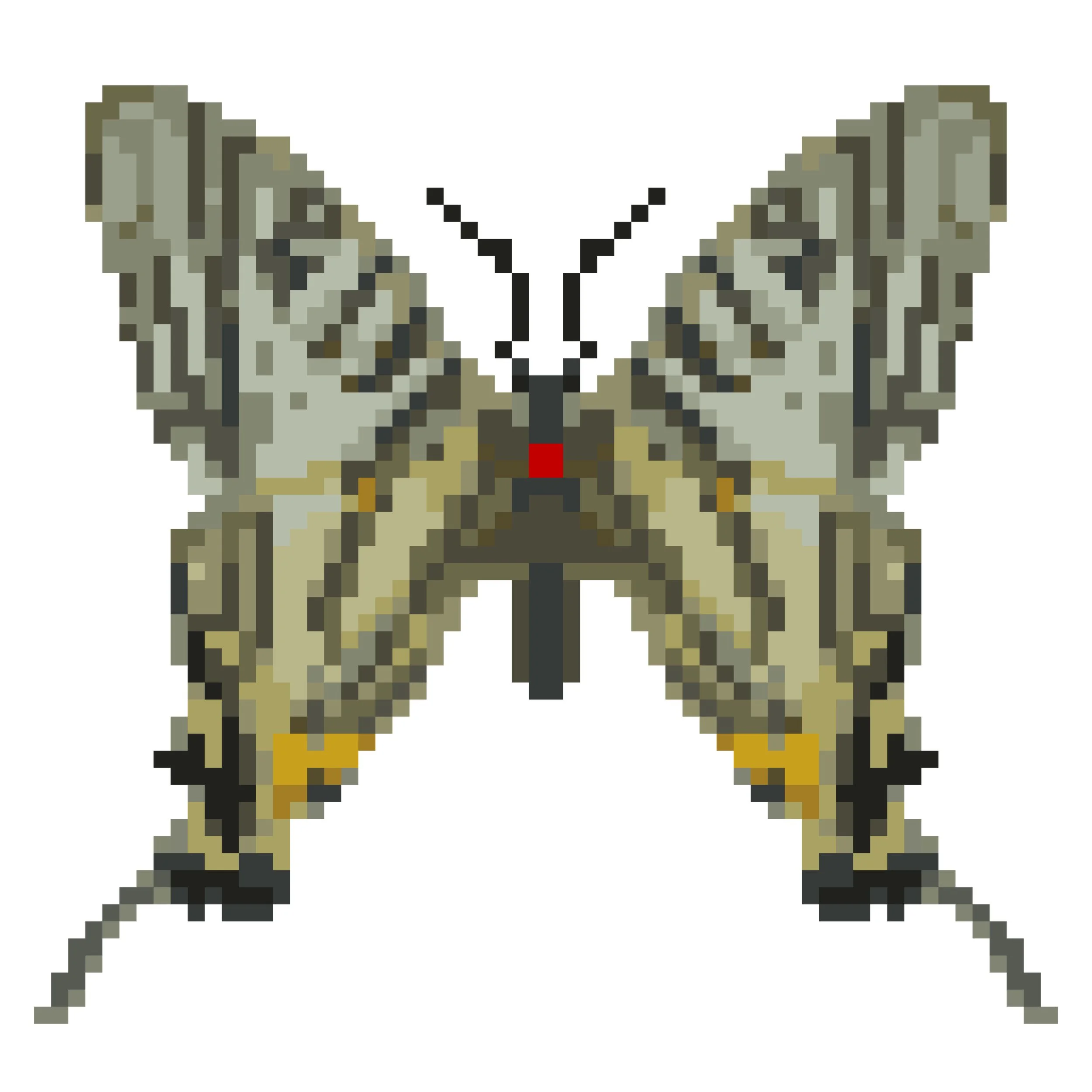 Wingpin#0476-Graphium mullah.jpg