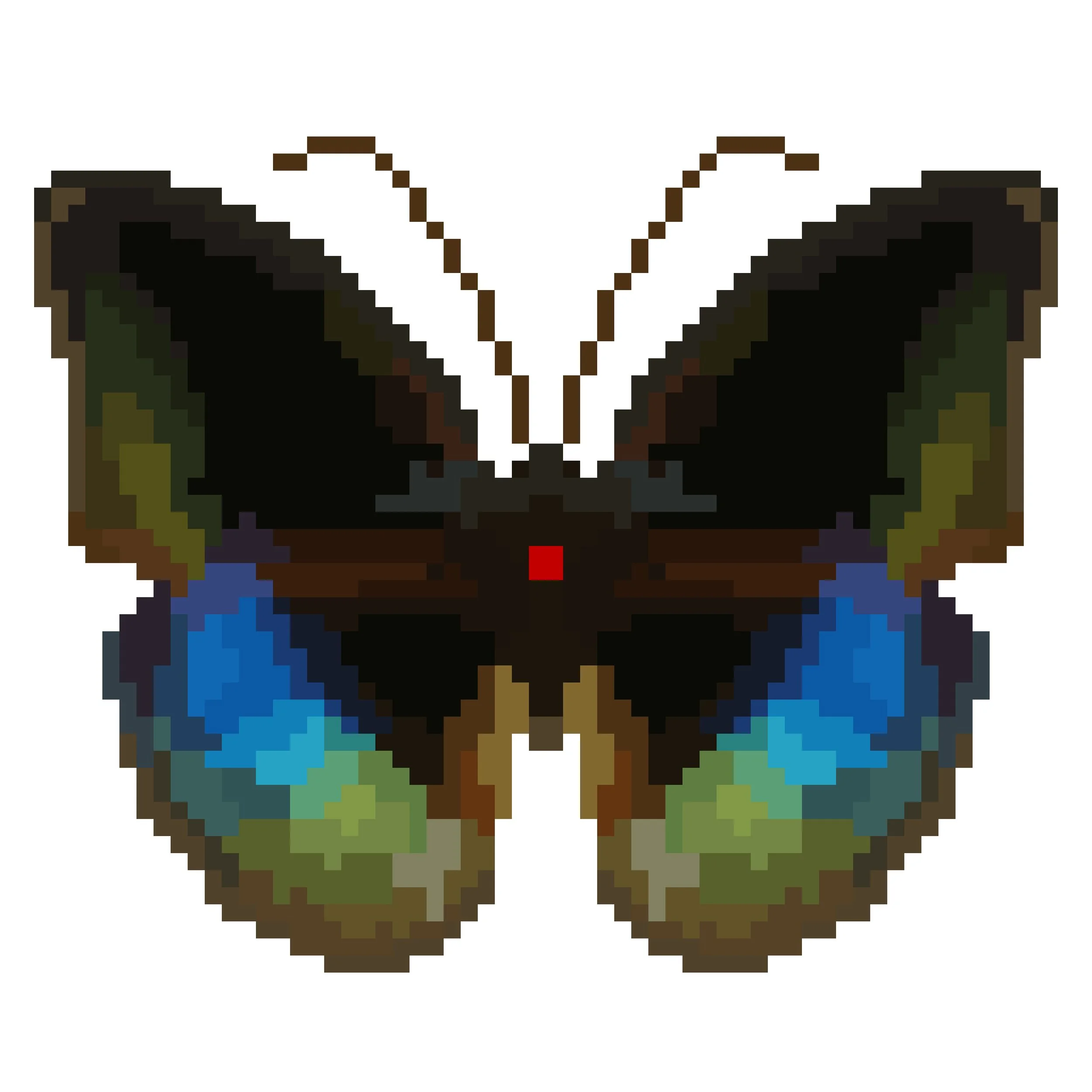Wingpin#0928-Lexias dirtea.jpg