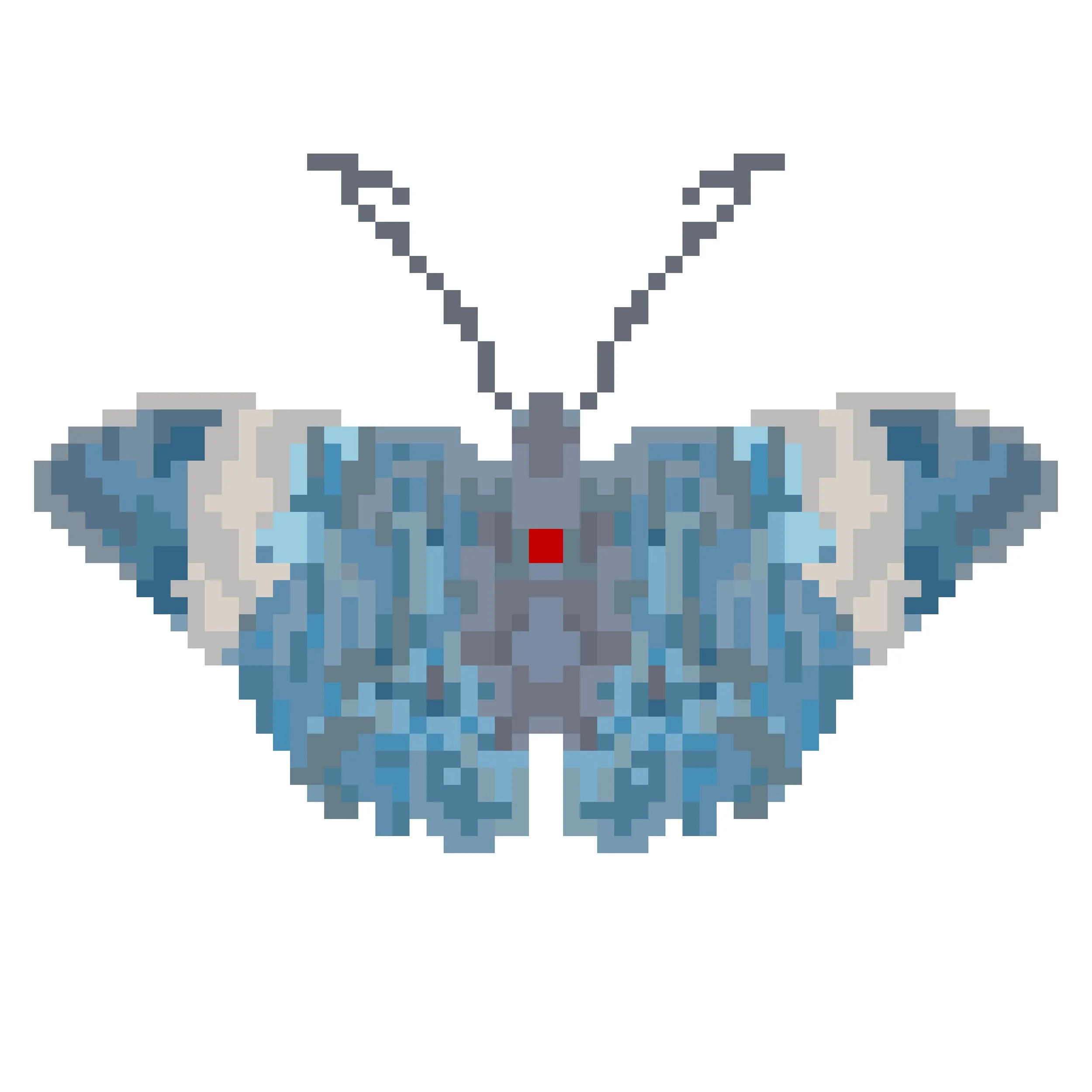 Wingpin#0773-Hamadryas amphinome.jpg
