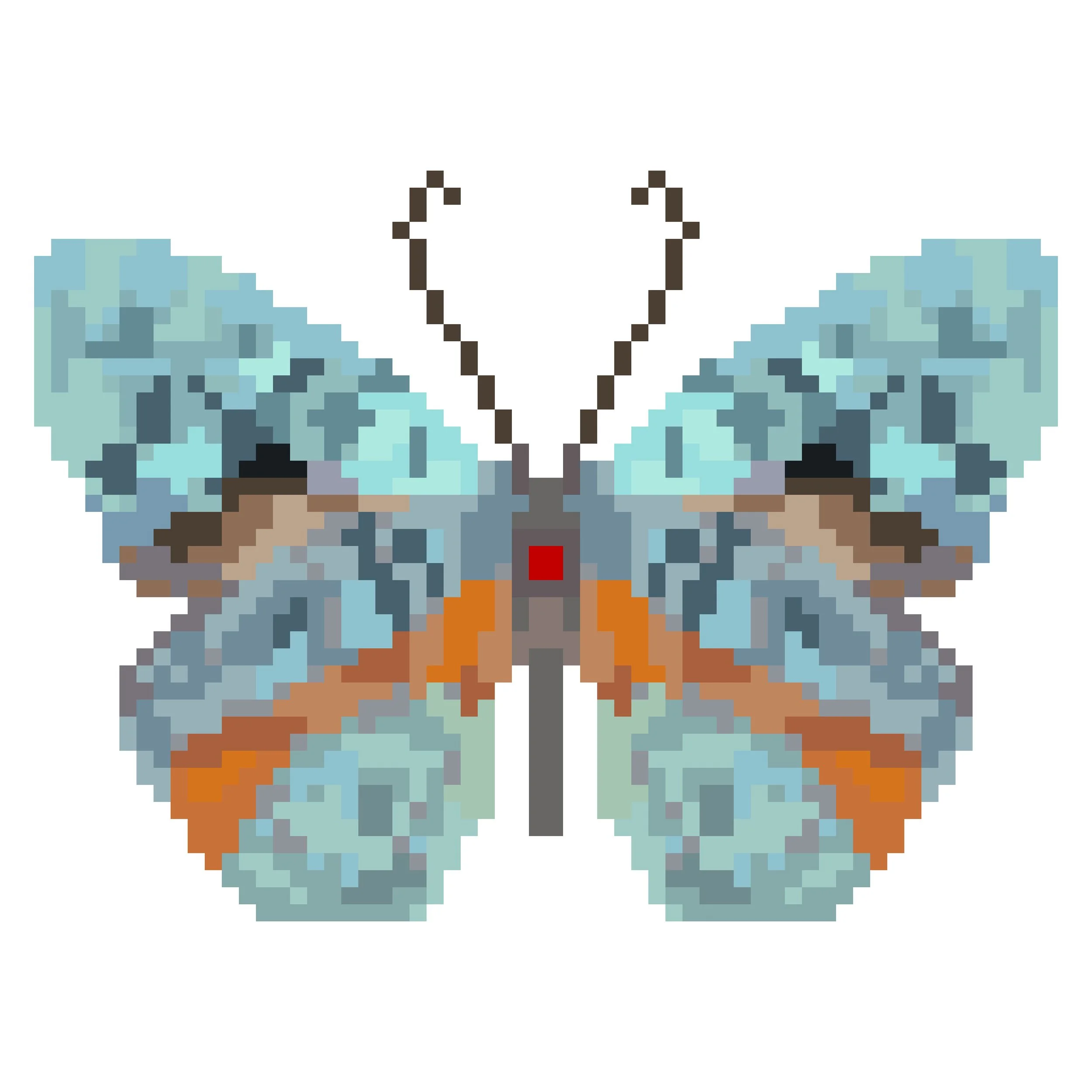 Wingpin#0914-Eunica chlorochroa.jpg