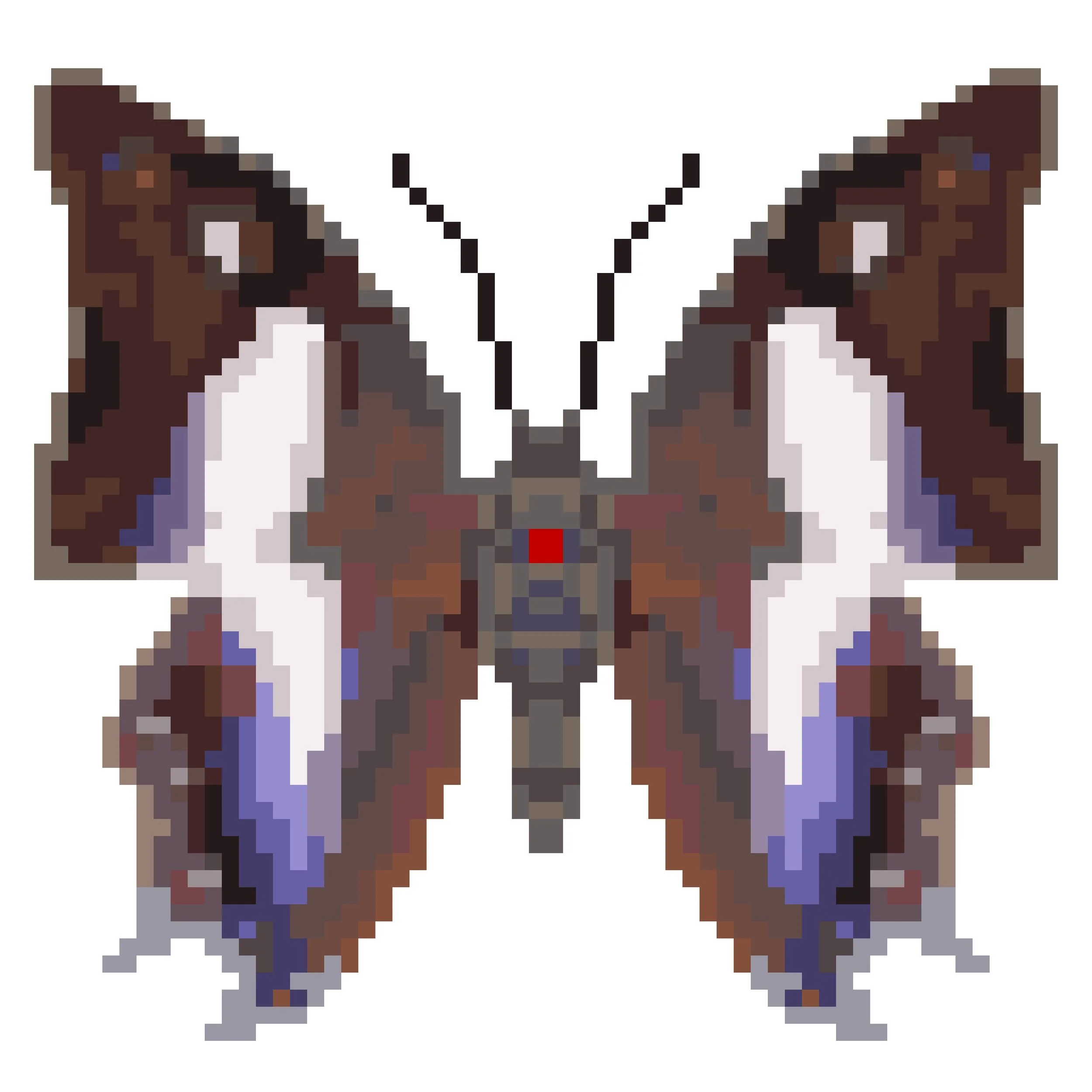 Wingpin#0304-Polyura schreiber.jpg