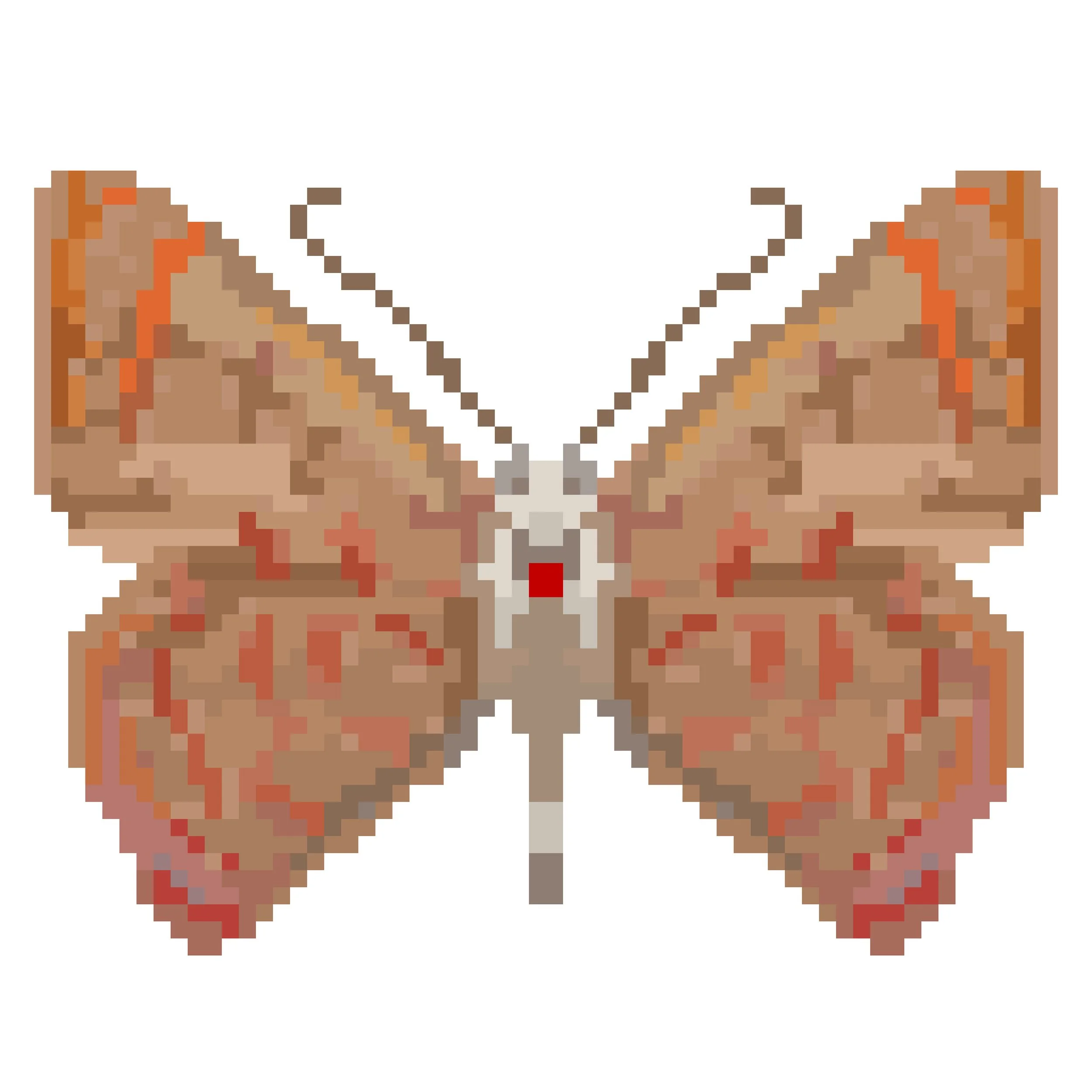 Wingpin#0679-Hypochrysops delicia.jpg