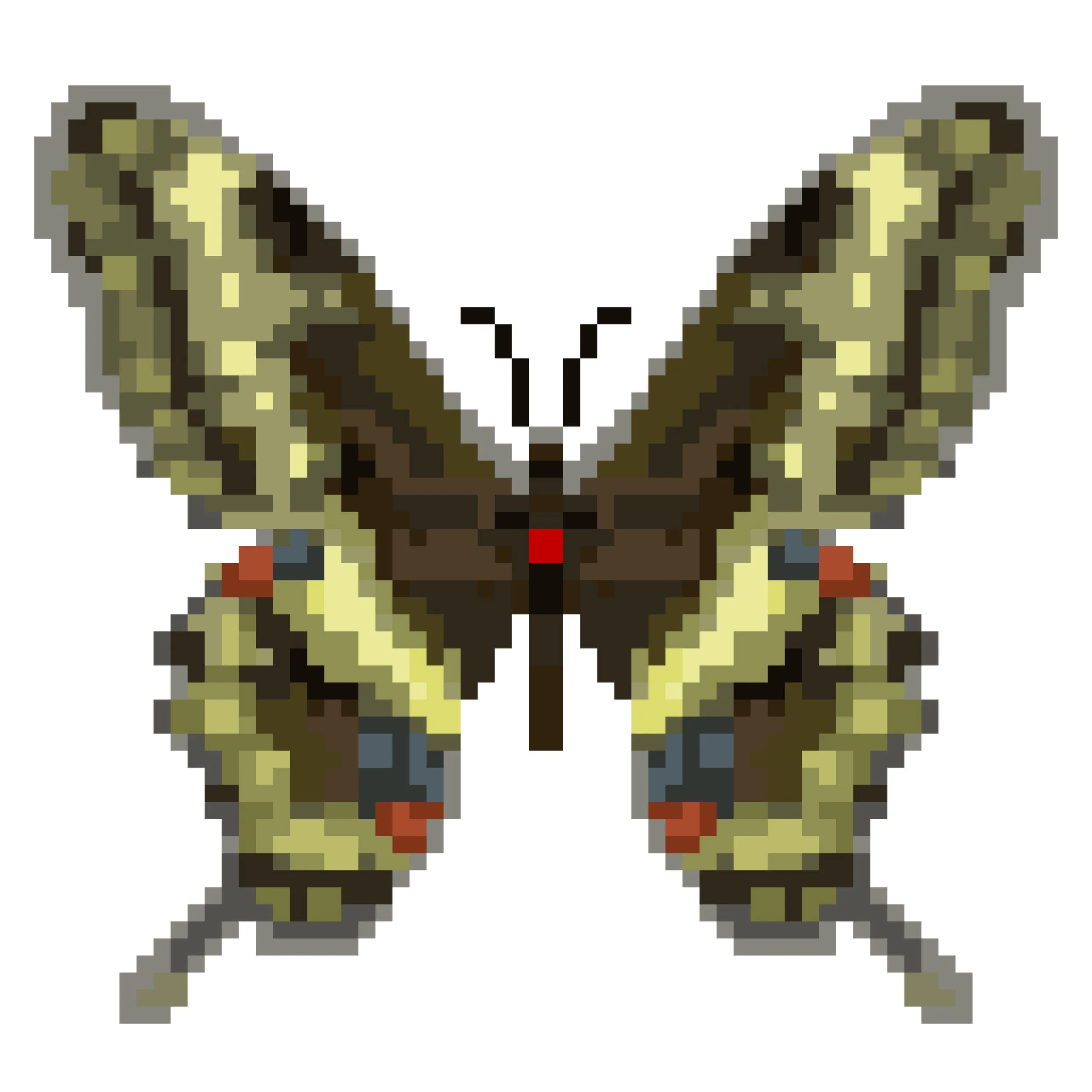 Wingpin#0404-Papilio ophidicephalus.jpg