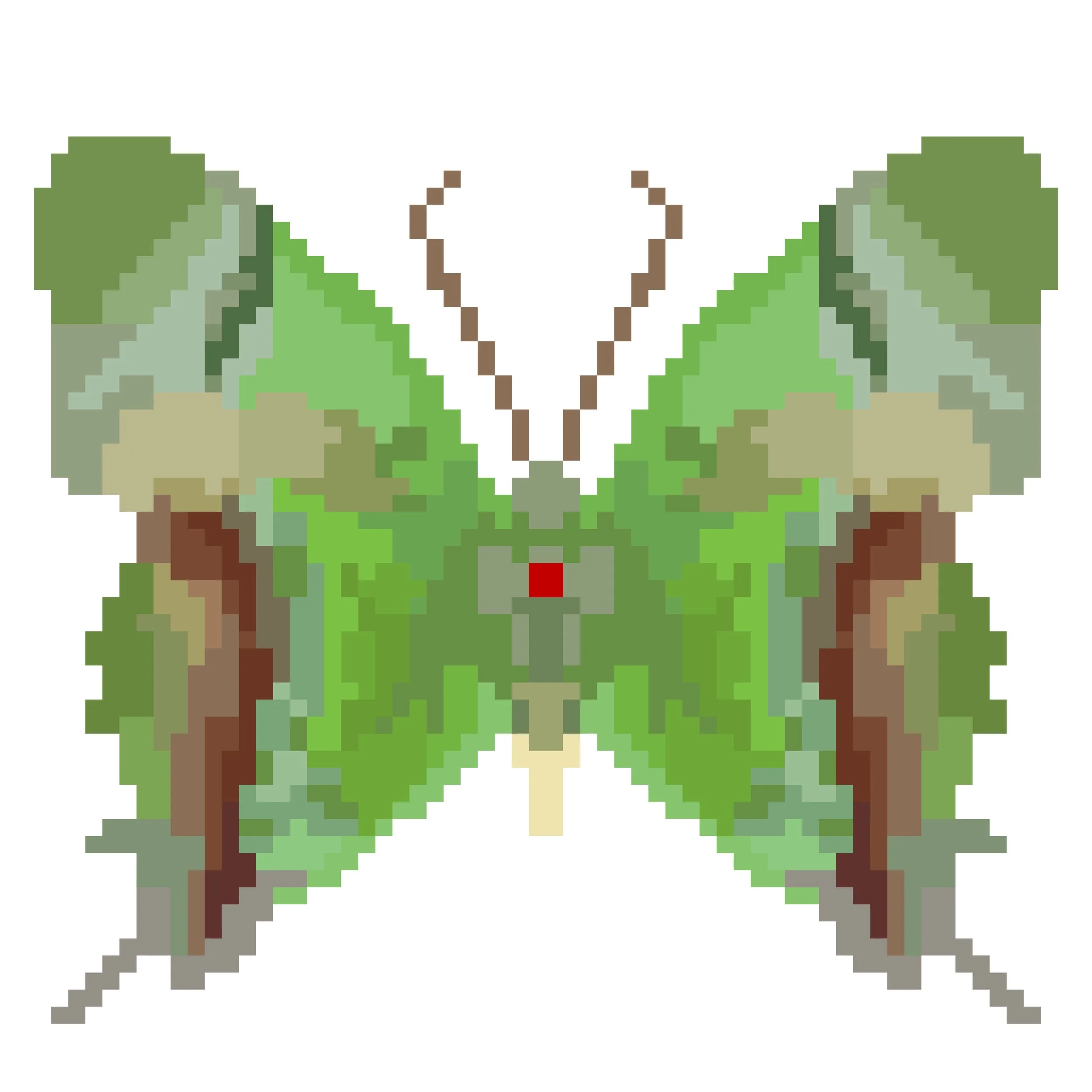 Wingpin#0971-Evenus regalis.jpg