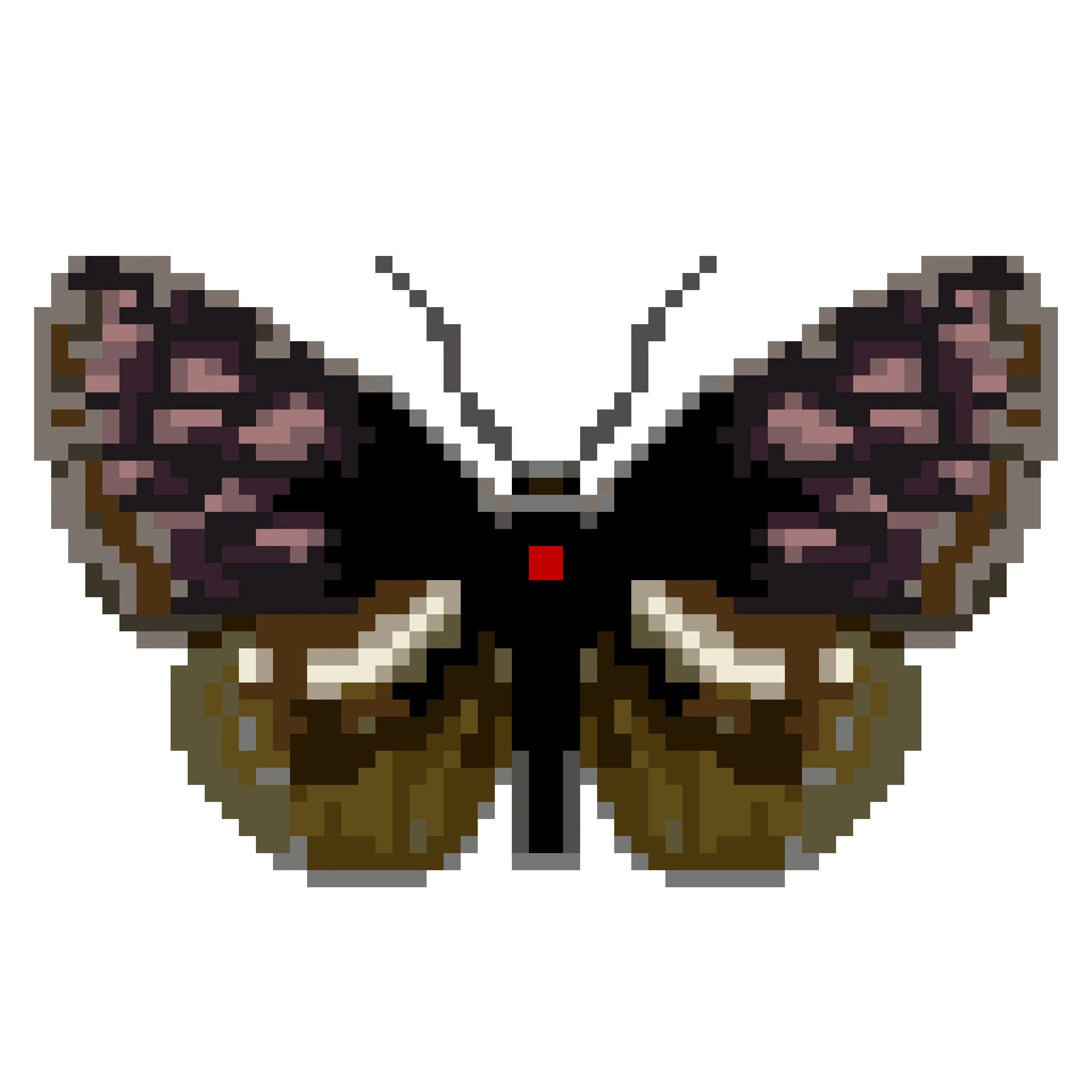 Wingpin#0365-Euploea klugii.jpg